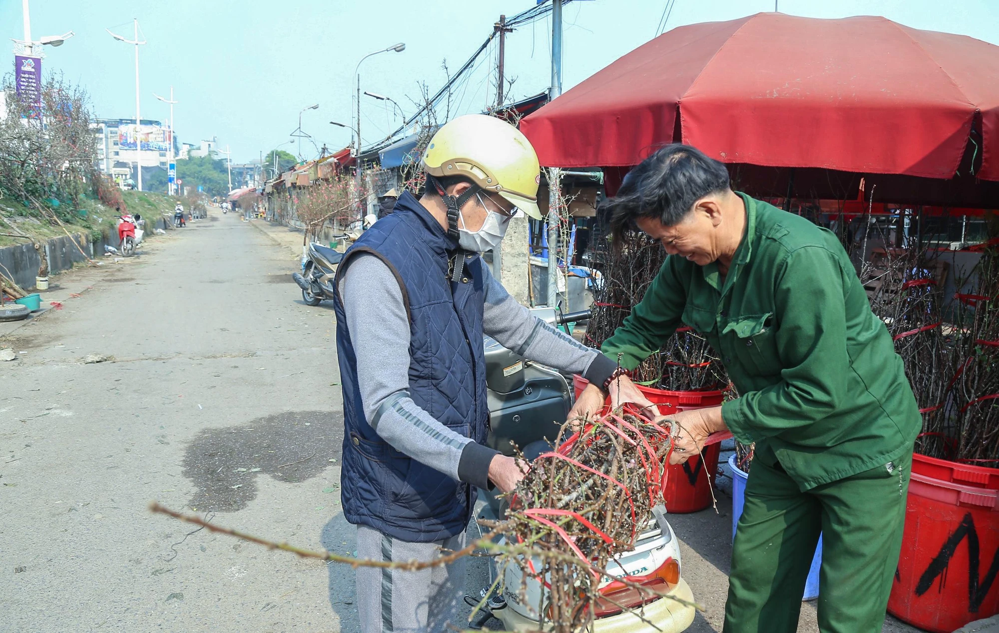 Do đào đầu mùa nên giá bán mỗi cành dài từ 1 mét đến hơn 2 mét có giá từ 500.000 - 700.000 đồng/cành; cành nhỏ từ 50 - 80 cm giá bán từ 100.000 - 200.000 đồng/cành tùy thế cành và lượng hoa. Do đào đầu mùa nên giá bán mỗi cành dài từ 1 mét đến hơn 2 mét có giá từ 500.000 - 700.000 đồng/cành; cành nhỏ từ 50 - 80 cm giá bán từ 100.000 - 200.000 đồng/cành tùy thế cành và lượng hoa.