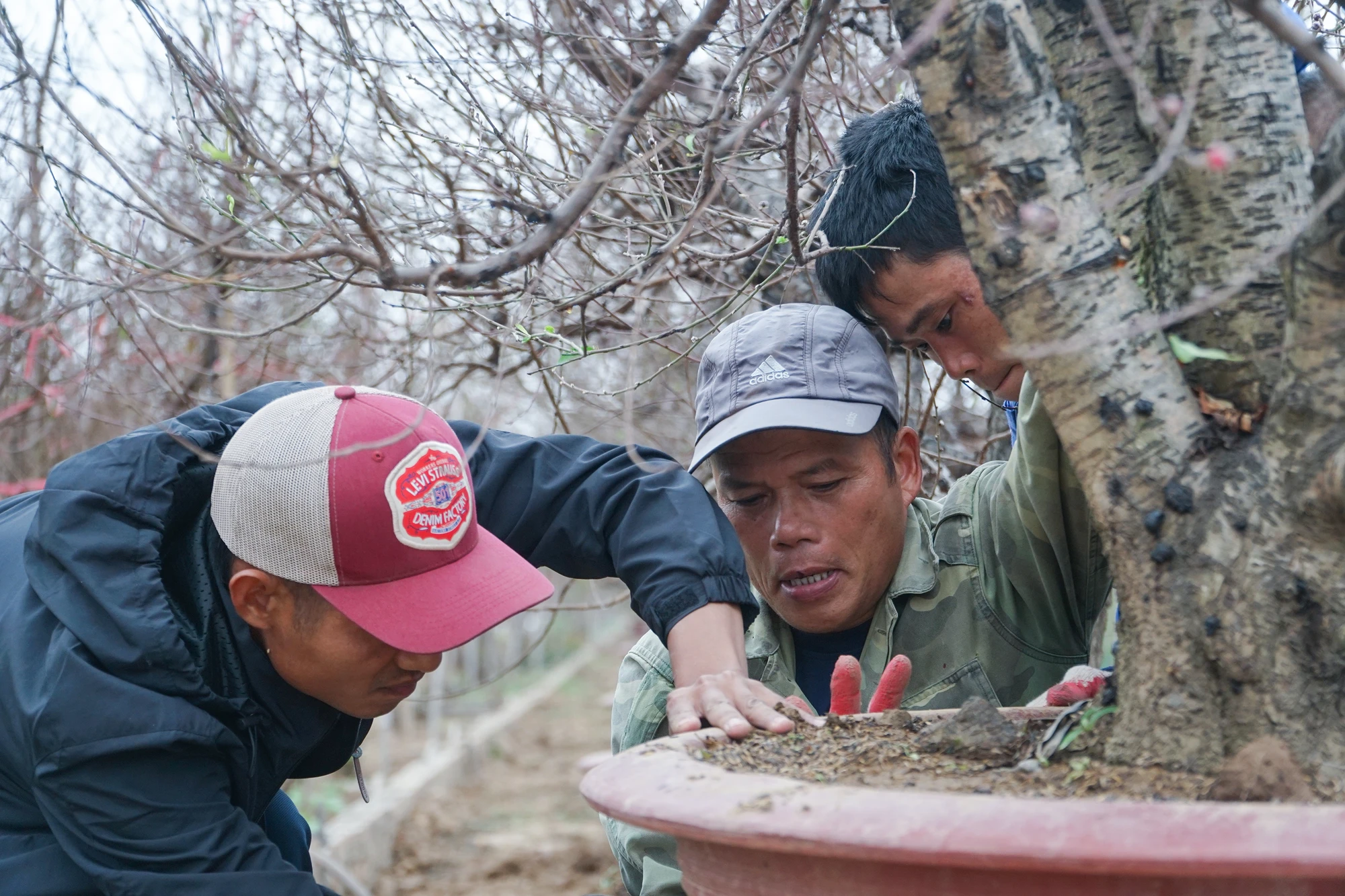 Công việc không quá khó khăn, nhưng đòi hỏi phải có sức khỏe và sự tỉ mỉ nhất định. Công việc không quá khó khăn, nhưng đòi hỏi phải có sức khỏe và sự tỉ mỉ nhất định.