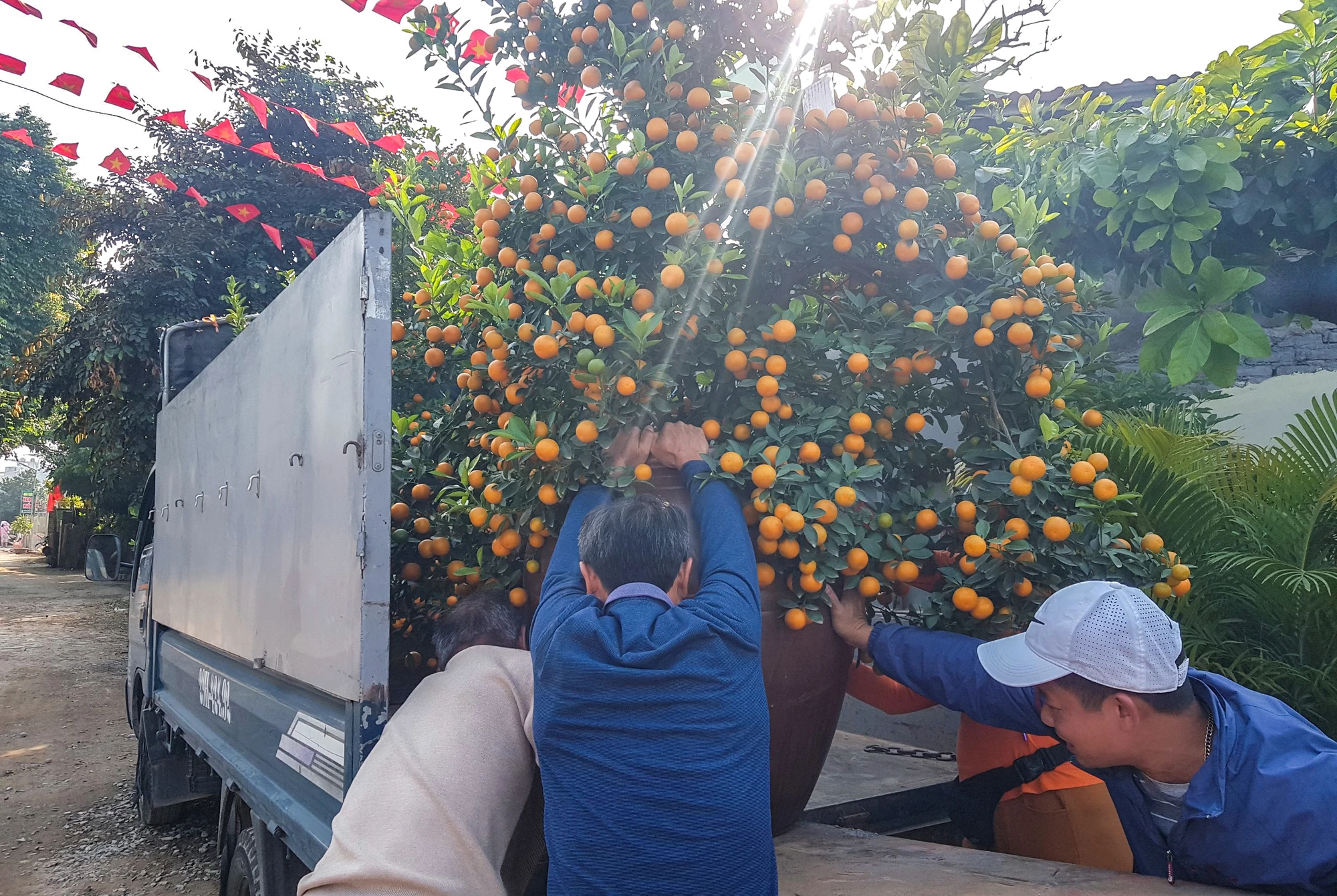 Nhiều người làm thuê chia sẻ, nếu cố gắng tận dụng thời gian, có người kiếm được vài chục triệu đồng chỉ trong một tháng cuối năm nhờ vào việc đánh chuyển đào, quất thuê. Nhiều người làm thuê chia sẻ, nếu cố gắng tận dụng thời gian, có người kiếm được vài chục triệu đồng chỉ trong một tháng cuối năm nhờ vào việc đánh chuyển đào, quất thuê.