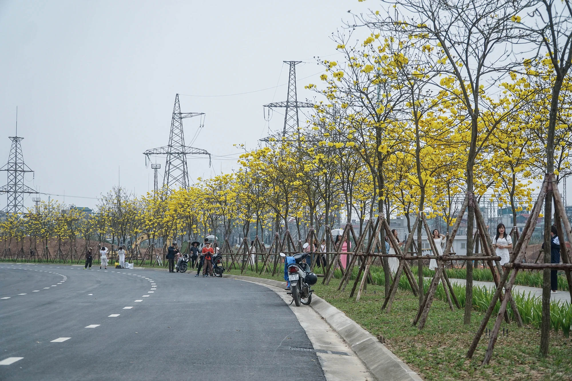 Theo ghi nhận, từ nhiều ngày nay rất nhiều người đổ về con đường hoa Phong Linh nằm trong khuôn viên khu đô thị ParkCity, phường La Khê, quận Hà Đông, TP Hà Nội để chụp ảnh. Theo ghi nhận, từ nhiều ngày nay rất nhiều người đổ về con đường hoa Phong Linh nằm trong khuôn viên khu đô thị ParkCity, phường La Khê, quận Hà Đông, TP Hà Nội để chụp ảnh.