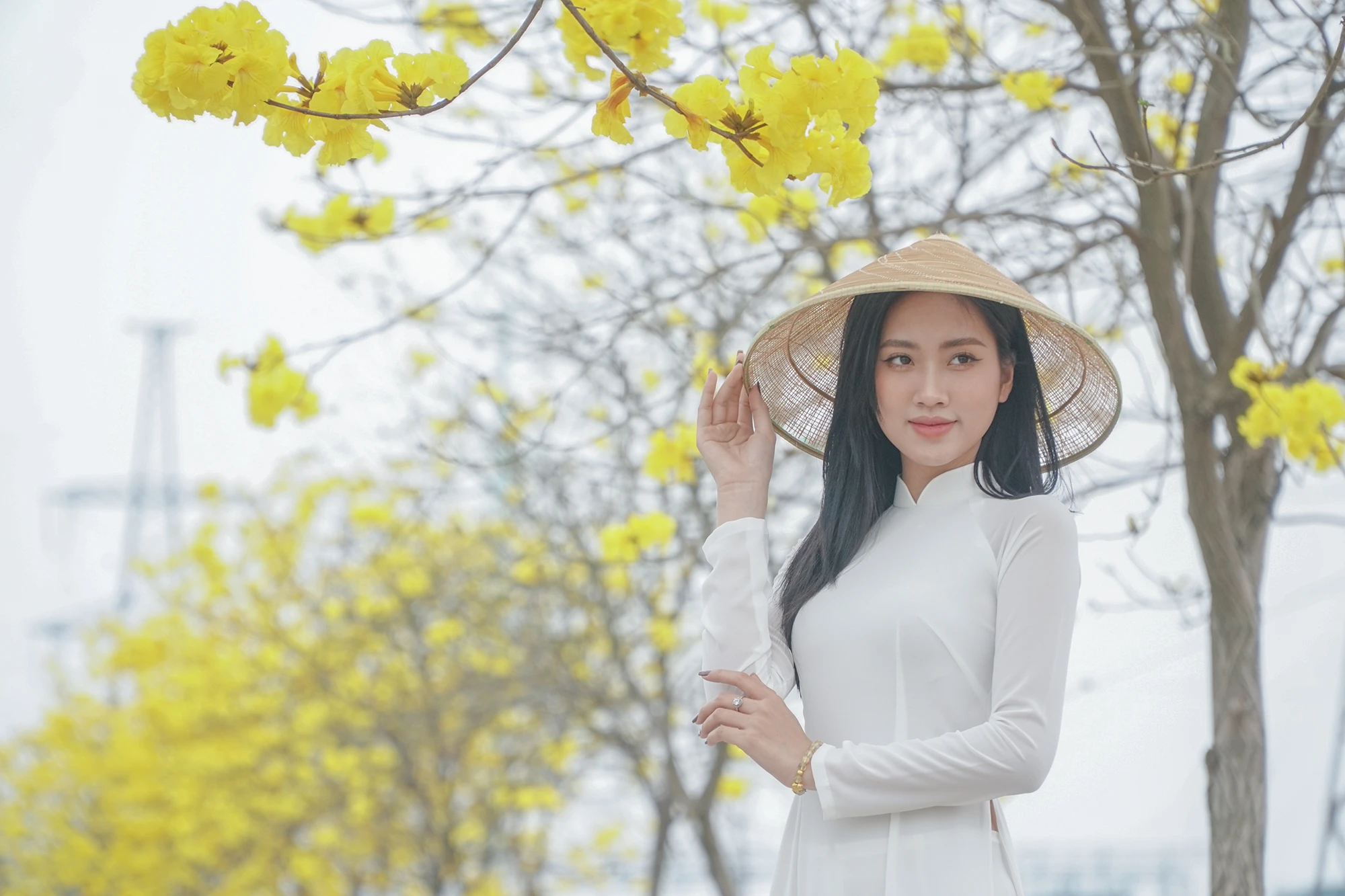 Tất cả cùng đắm mình vào với cảnh sắc nơi đây. Tất cả cùng đắm mình vào với cảnh sắc nơi đây.