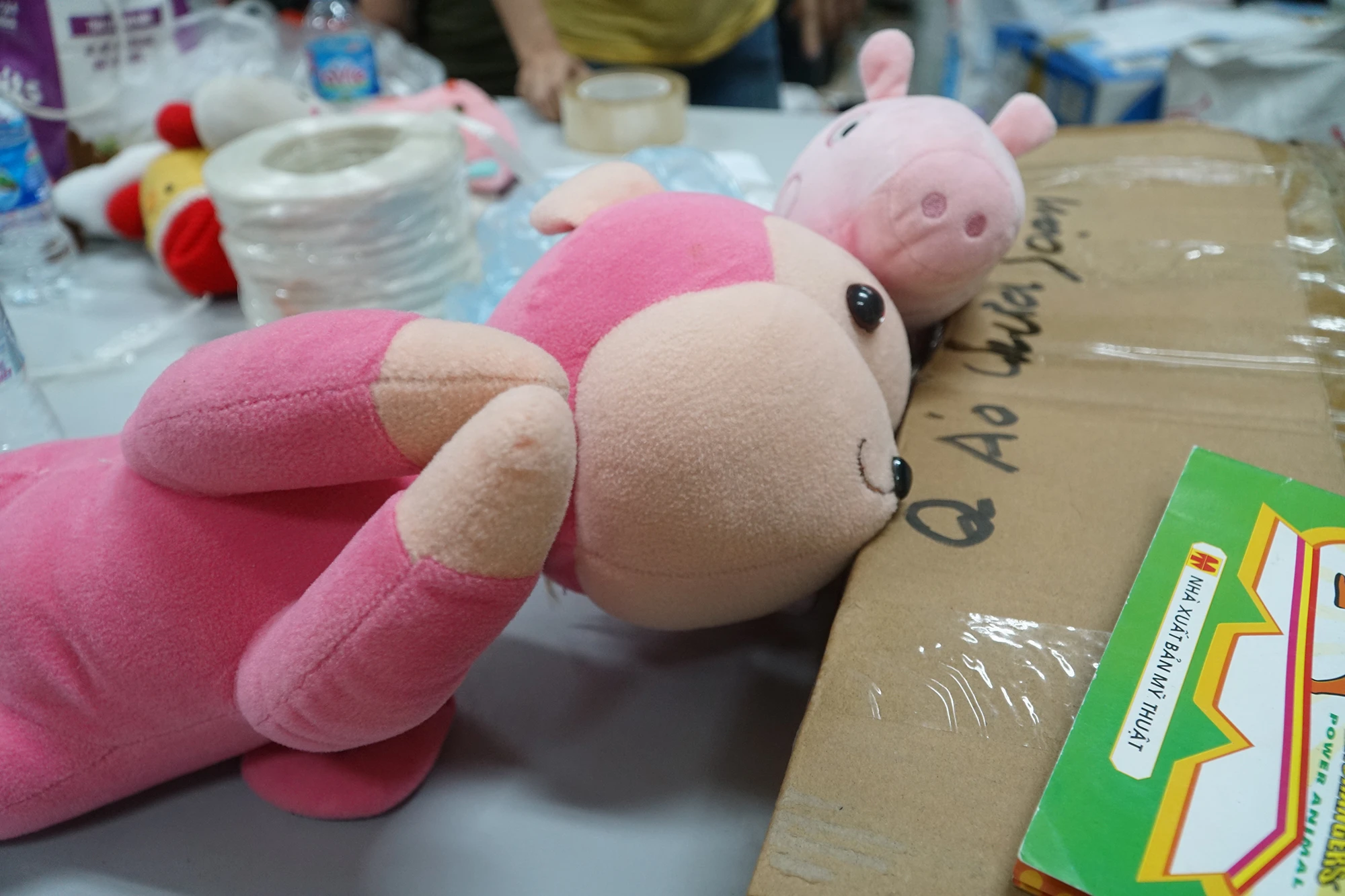 DSC00298.JPG