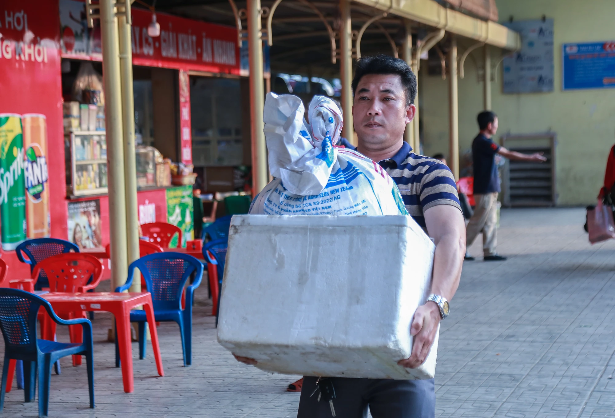 tet-duong-lich-6-933.jpg
