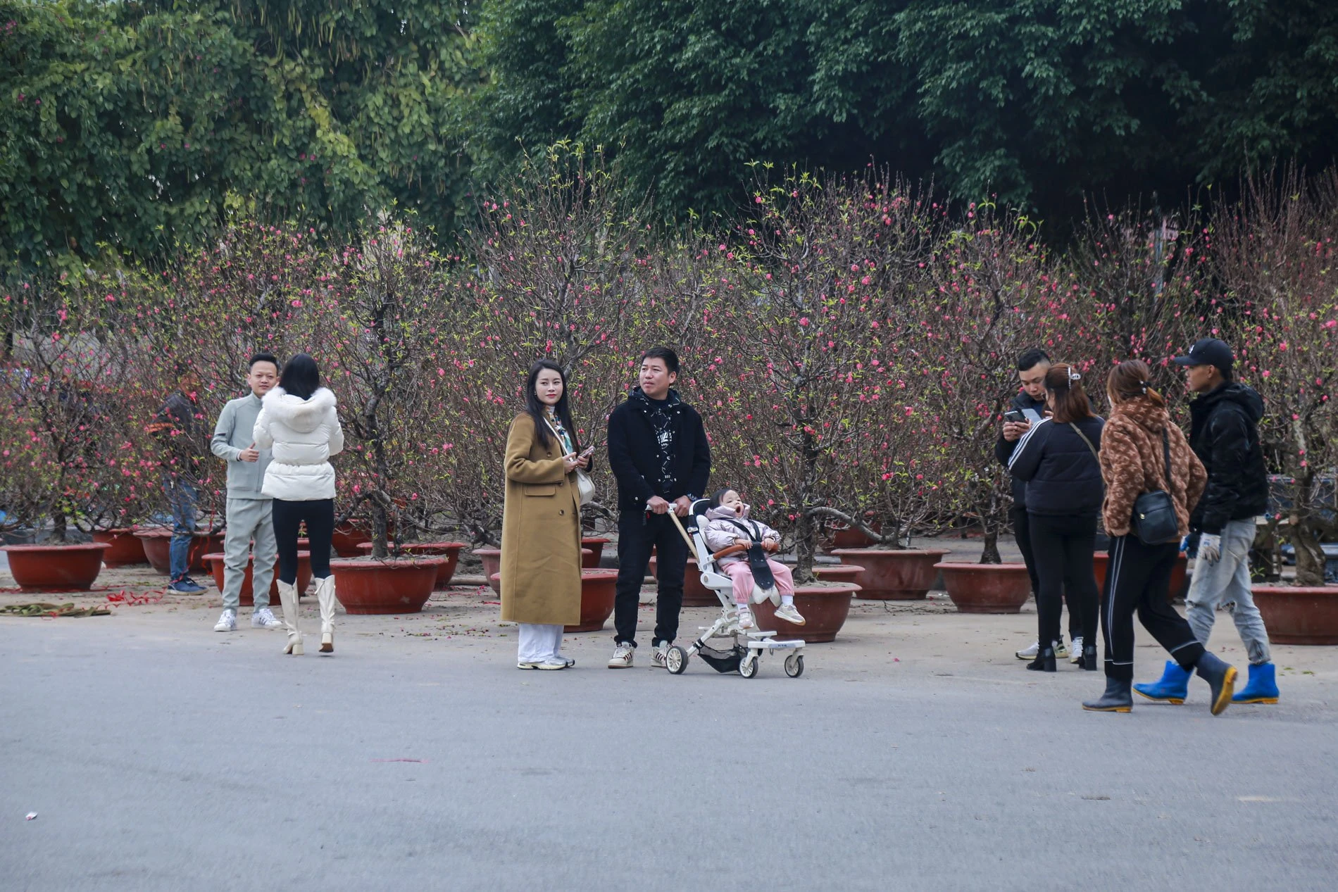 cho-hoa (1).jpg