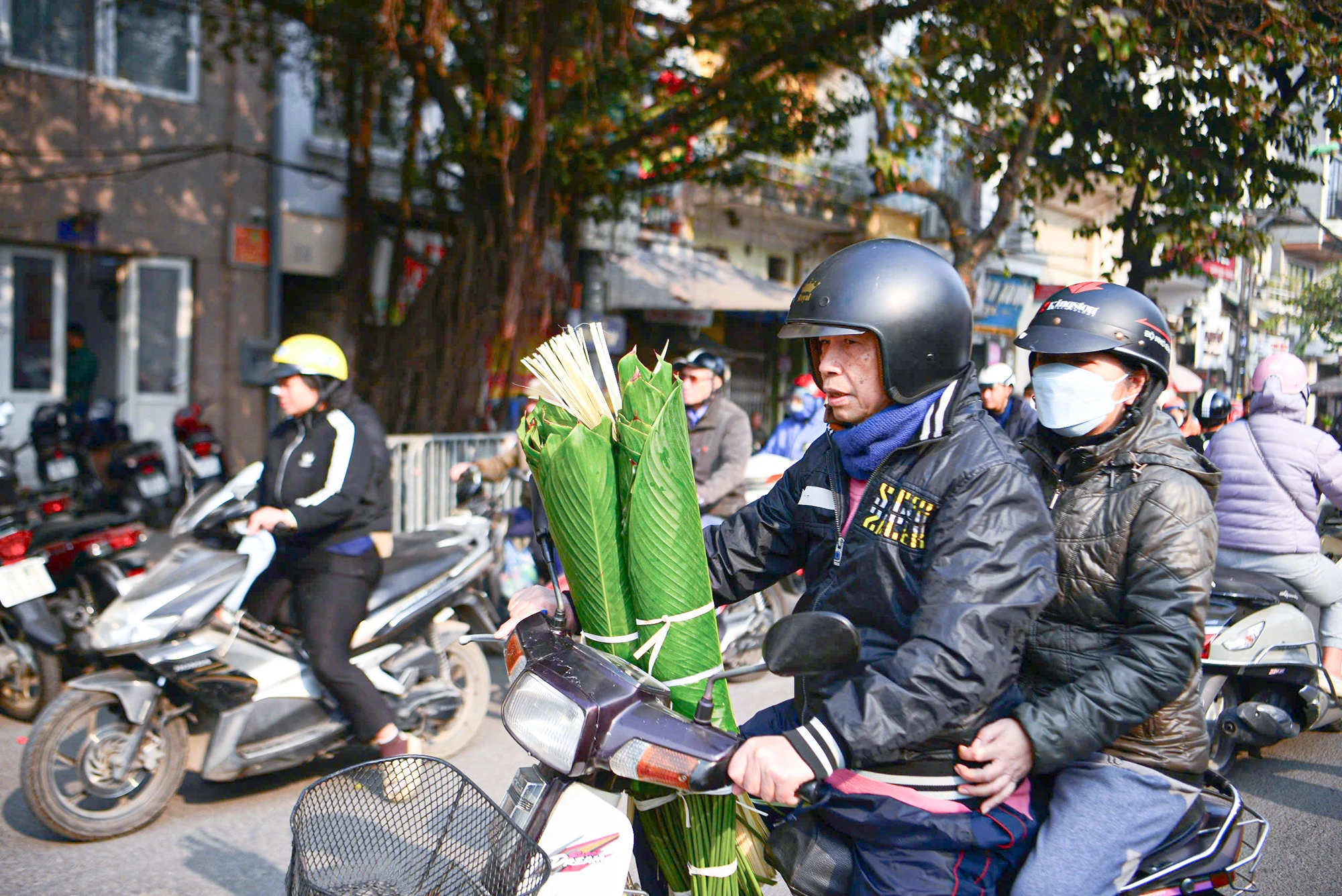 tet-nguen-dan.jpg