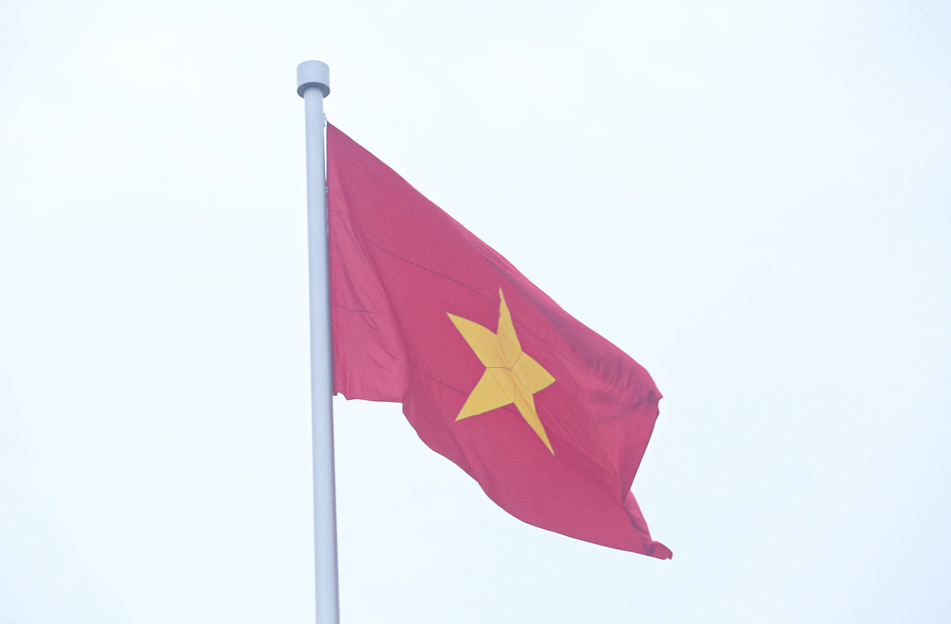 le-chao-co (1).JPG