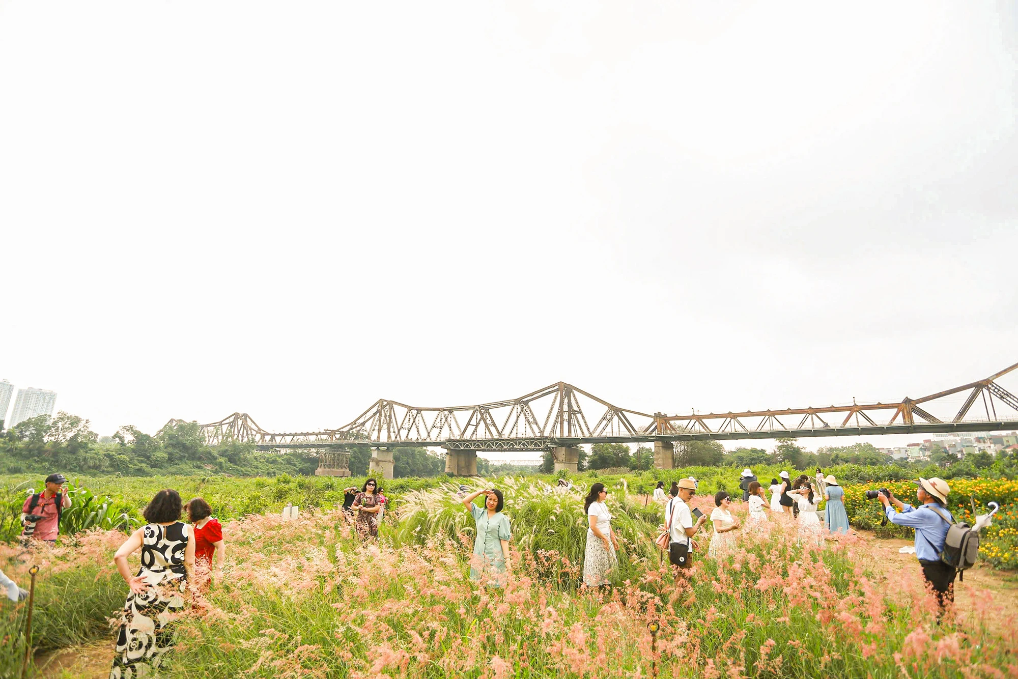 bai-co-lau (11).jpg