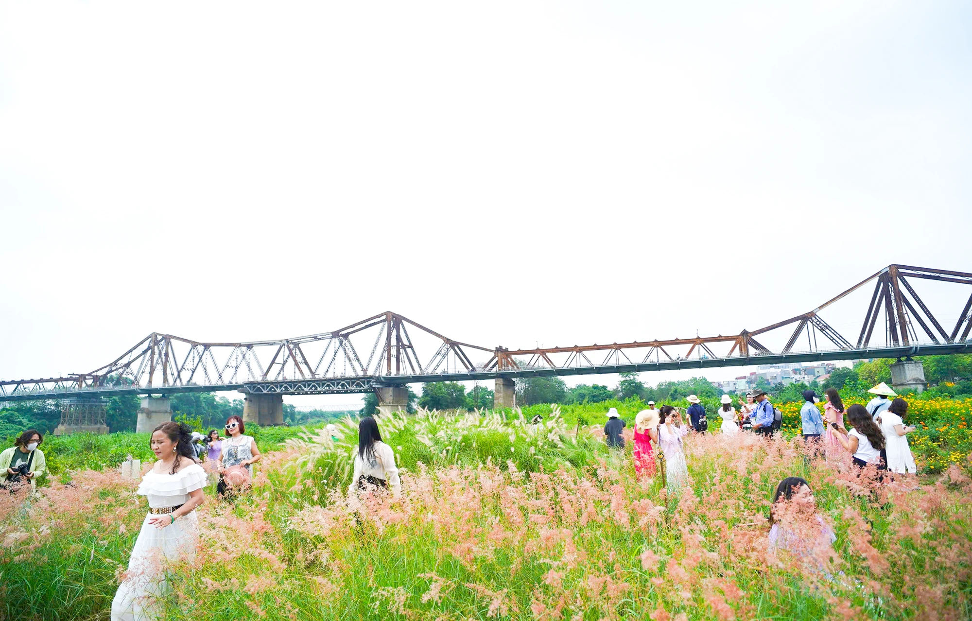 bai-co-lau (4).jpg