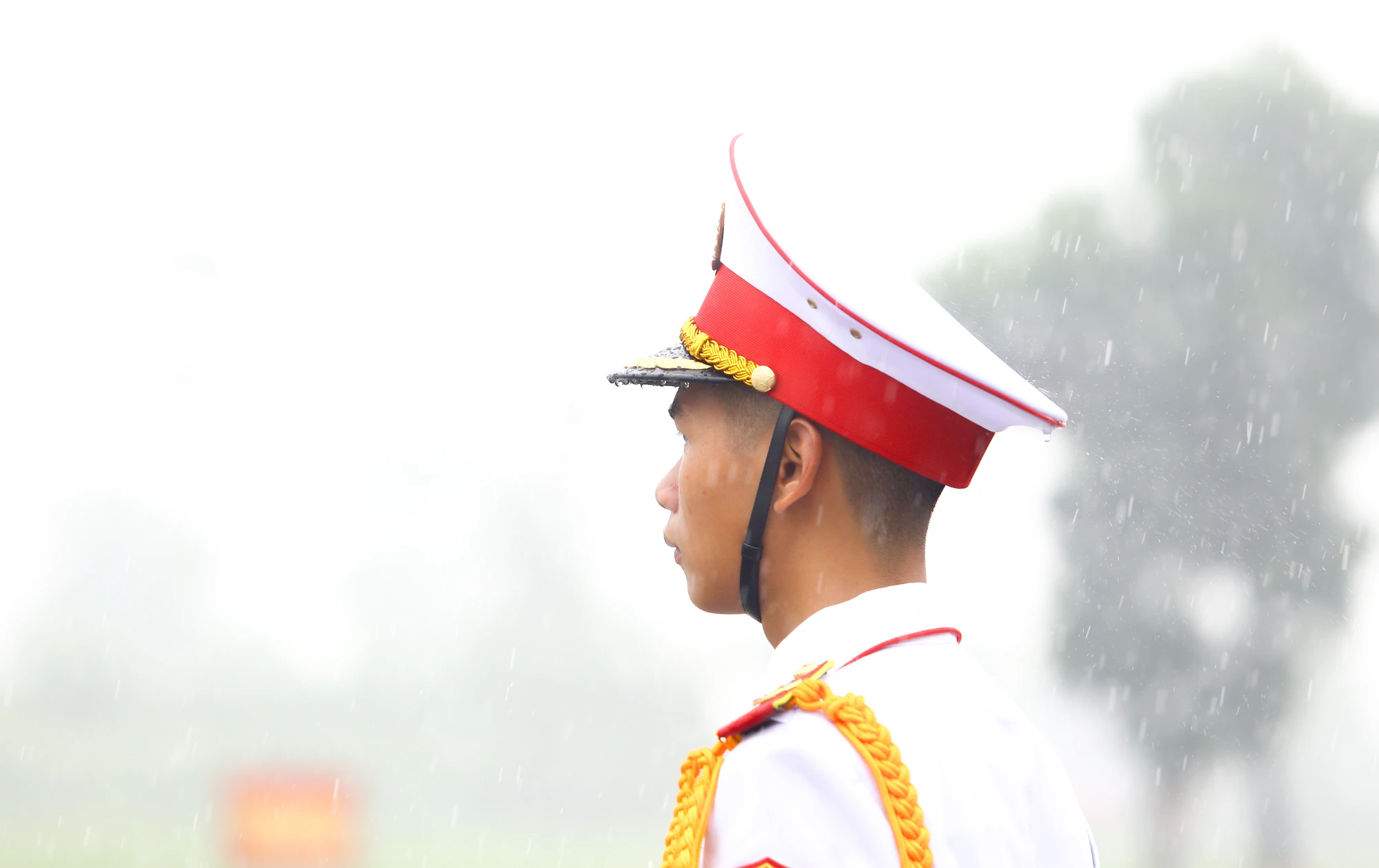 7L5A1132.JPG