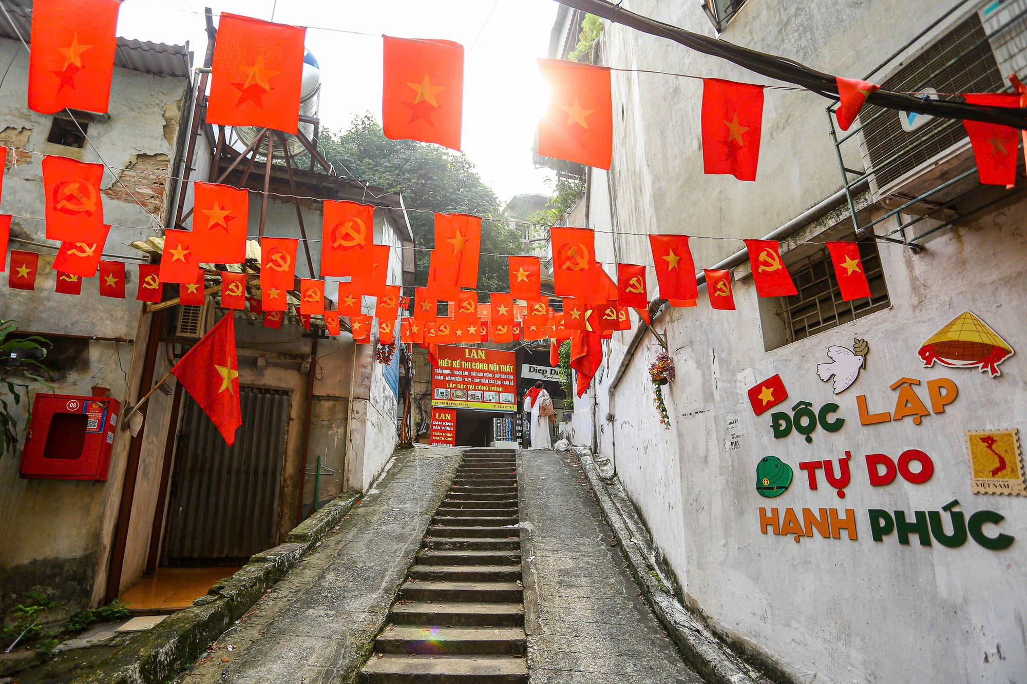 co-do-sao-vang (26).jpg