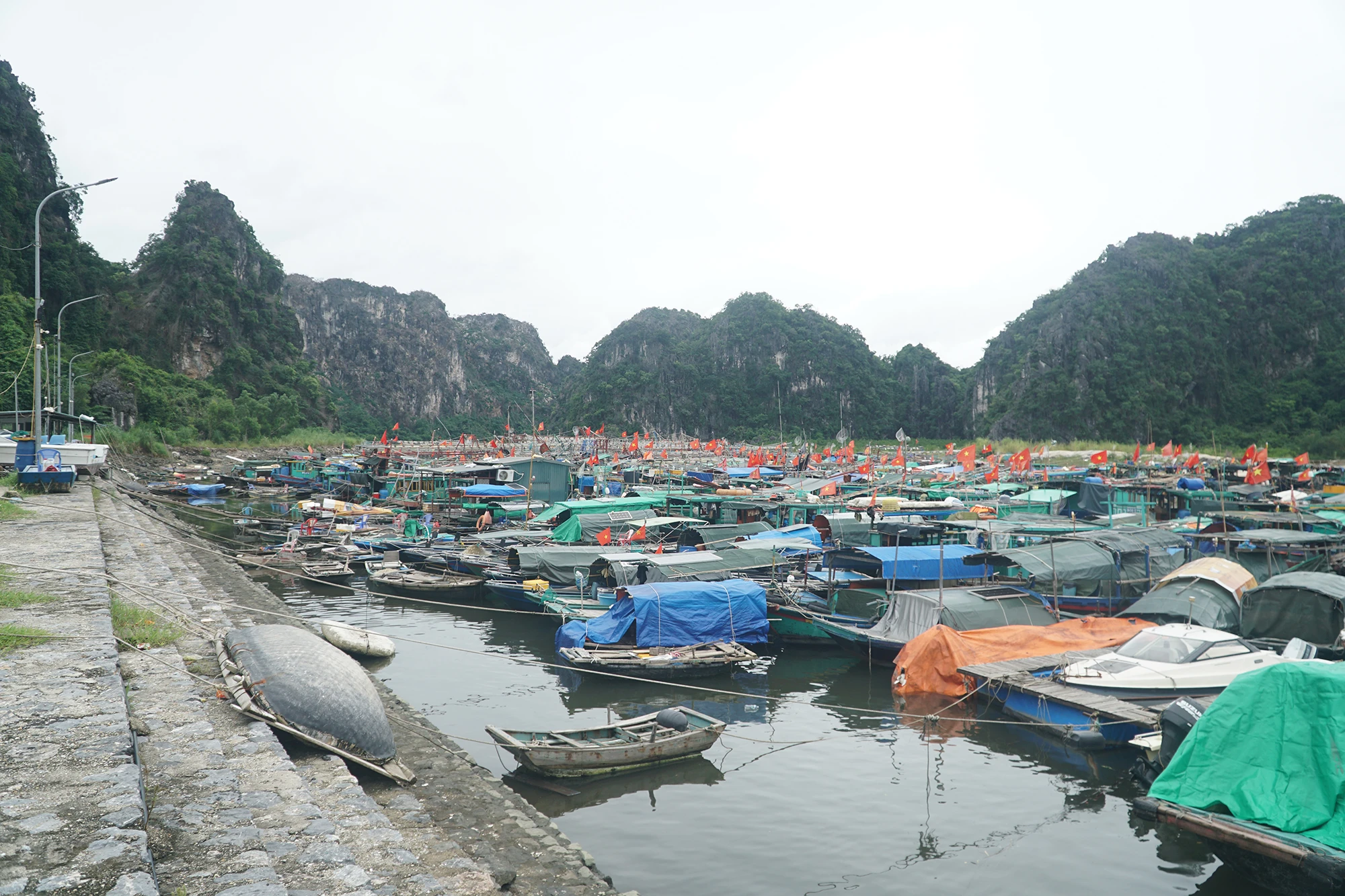 bao-so-9 (1).JPG