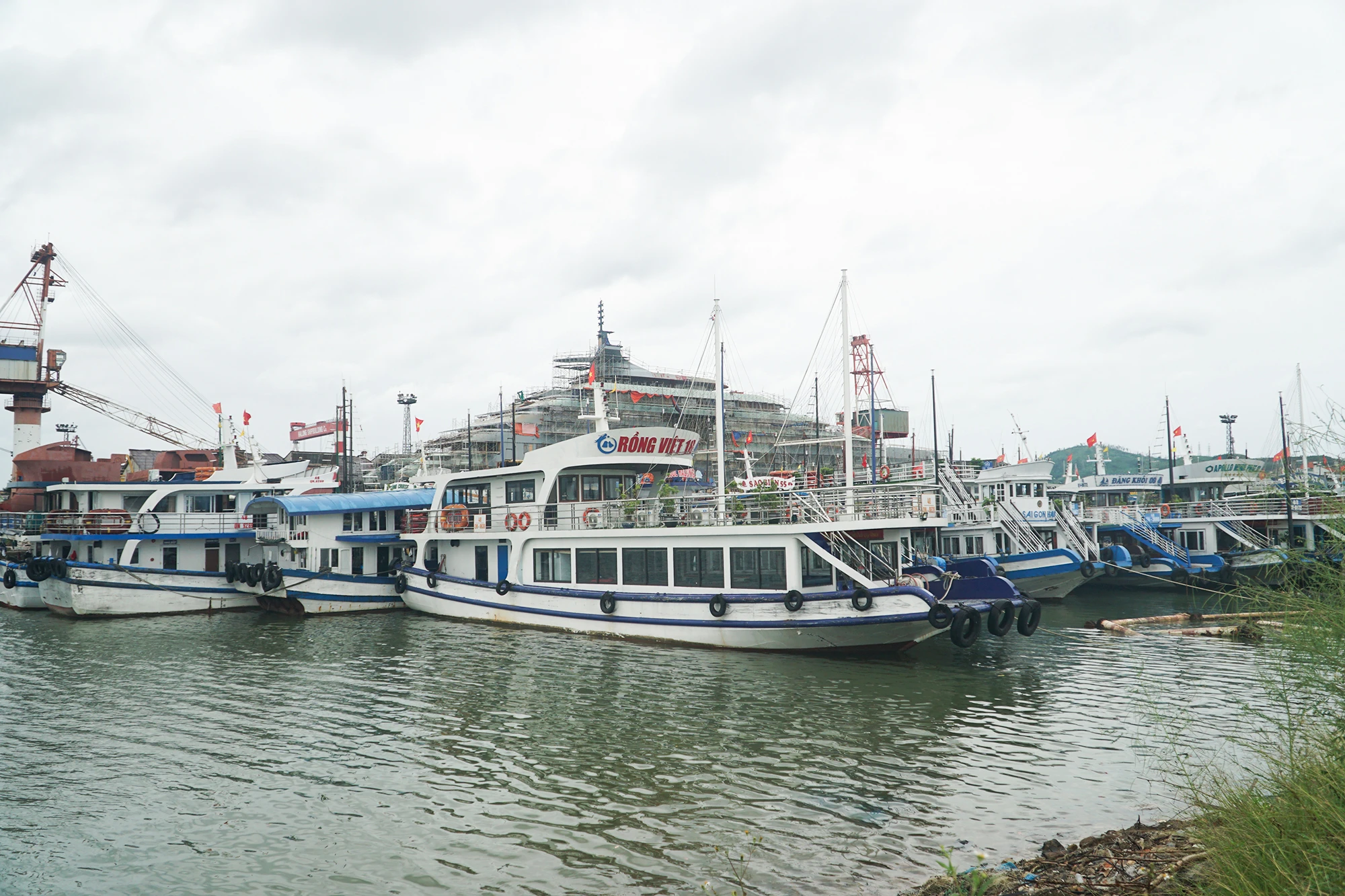 bao-so-9 (1).JPG