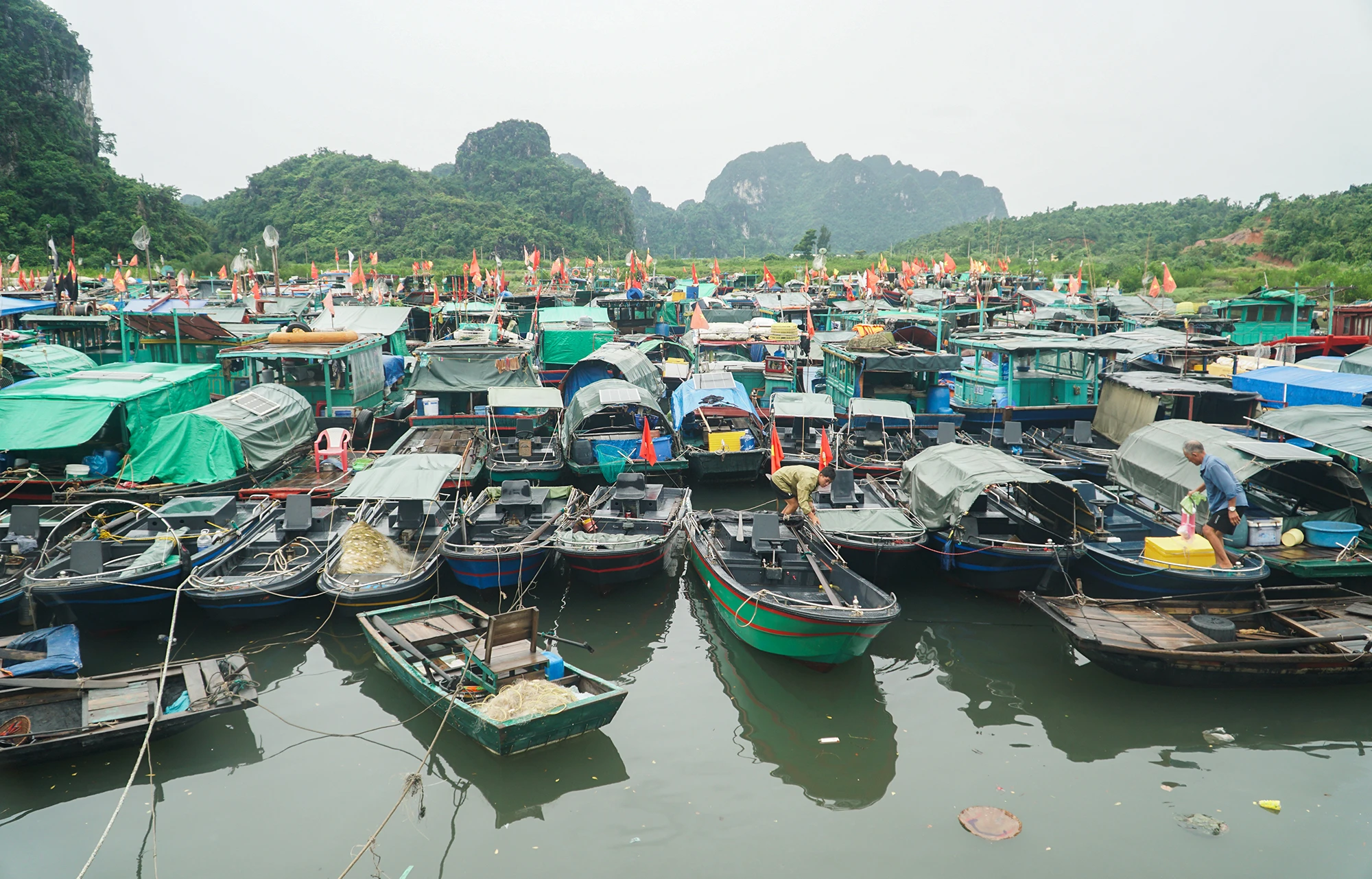 bao-so-9 (16).JPG