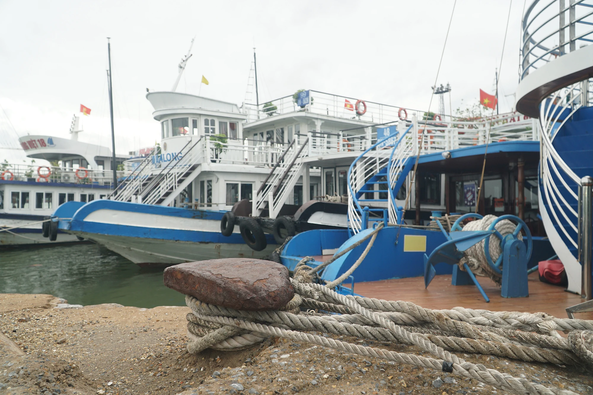 bao-so-9 (6).JPG