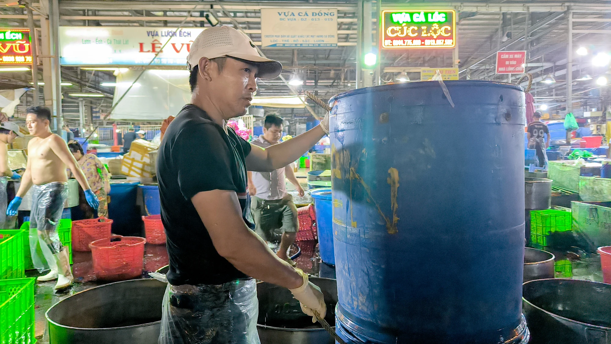 Hơn 300 tấn cá lóc đổ xuyên đêm về chợ đầu mối lớn nhất TP.HCM ngày vía Thần Tài
