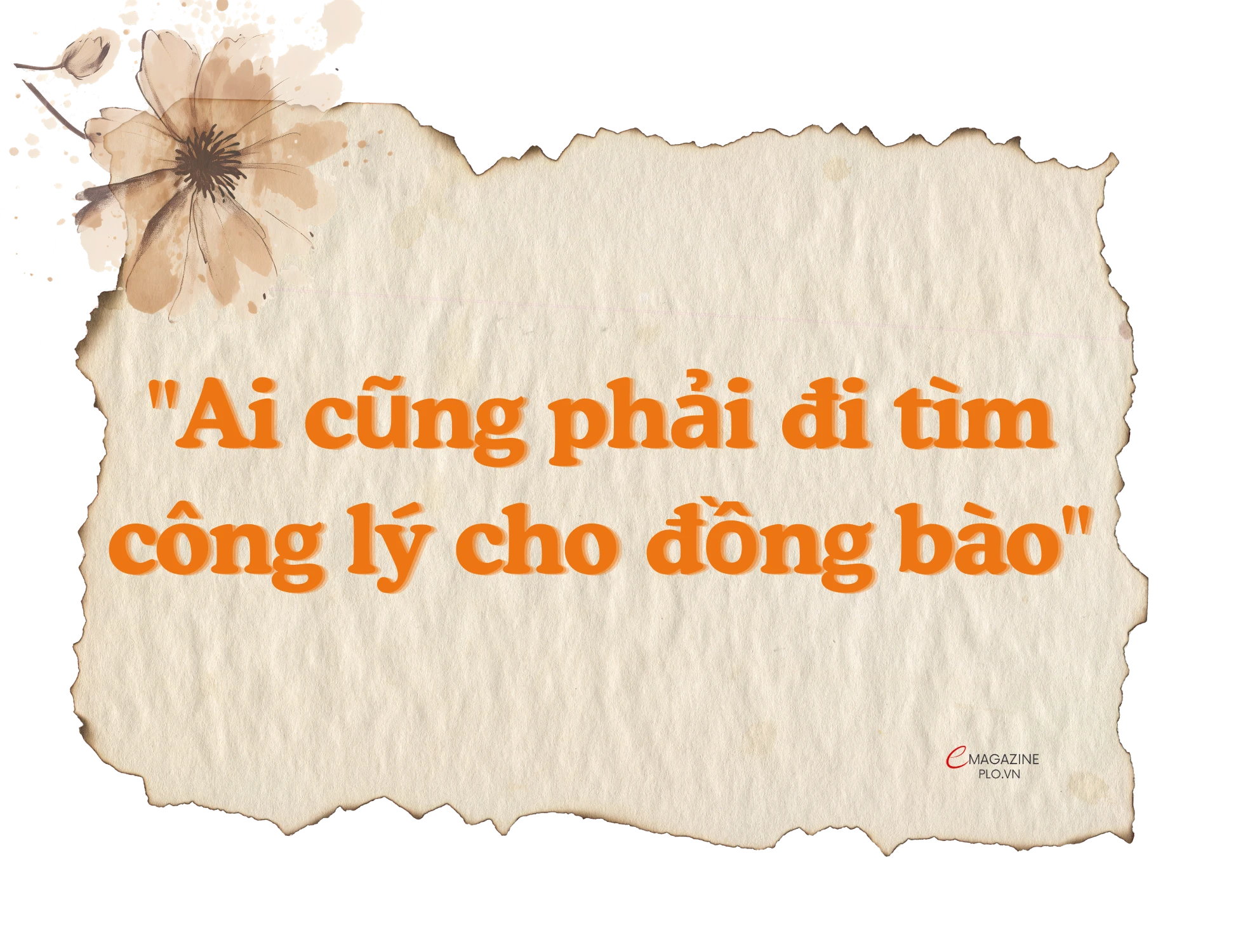 Nan-nhan-da-cam (3).png