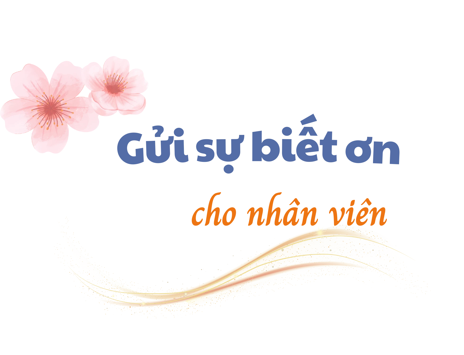 qua tet-khong-chi-la-qua (1).png