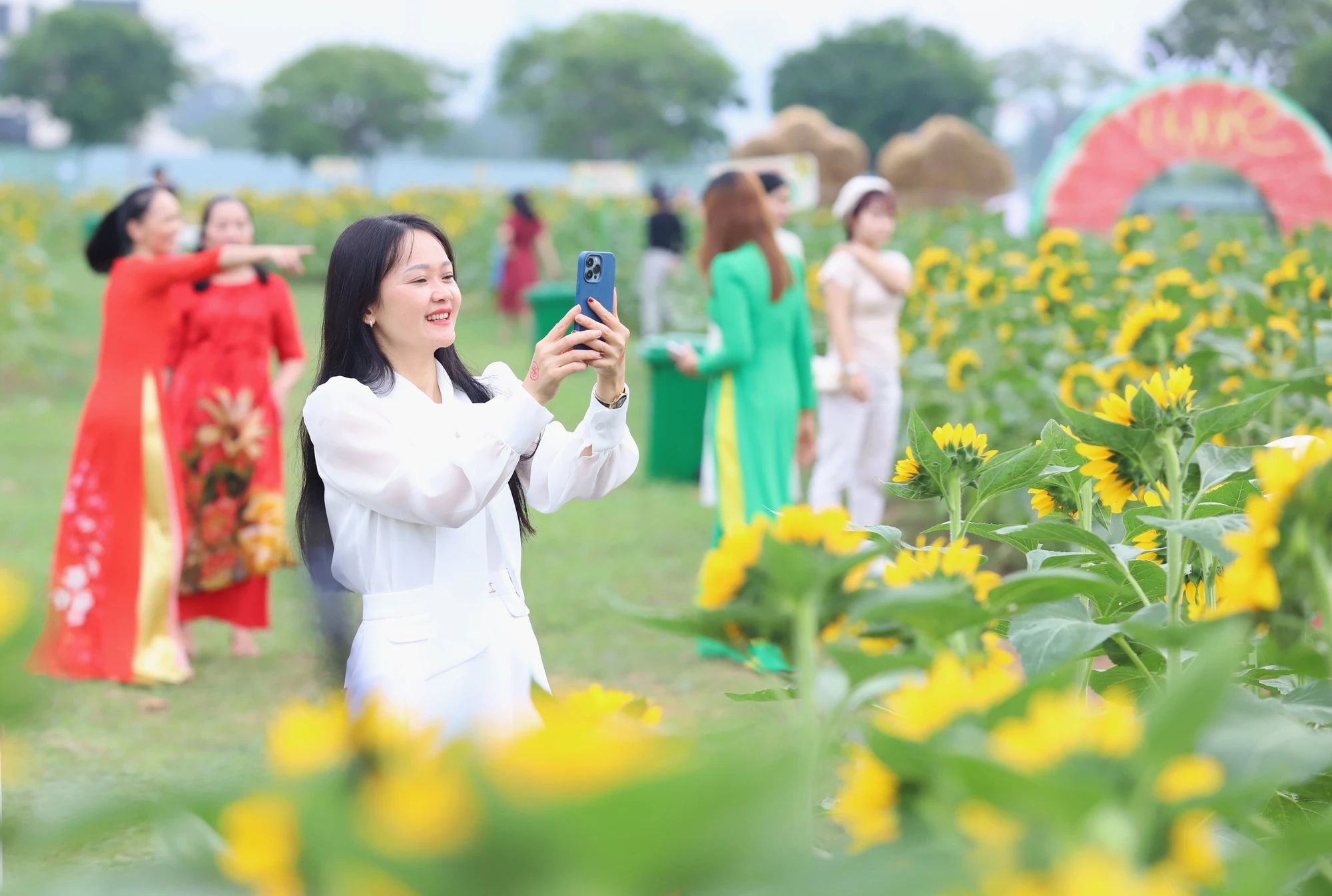 Vườn hoa hướng dương đẹp mê giữa lòng Sài Gòn, du khách náo nứt check-in