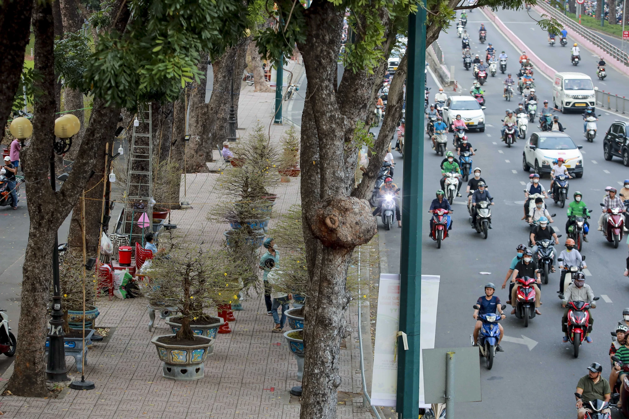 TP.HCM: Chợ hoa Tết vắng người mua, tiểu thương 'buôn chuyện' với nhau hết ngày