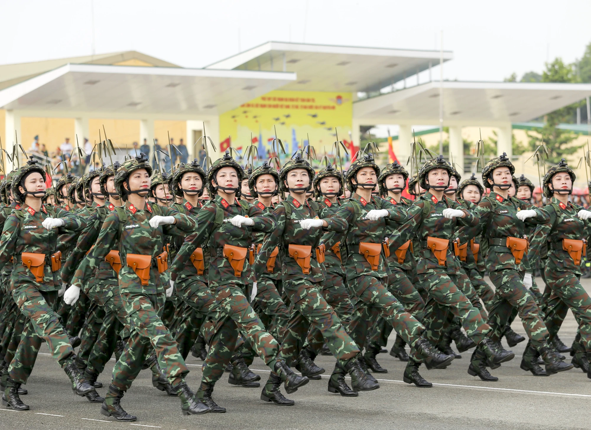 dieu-binh-30-4 (2).jpg