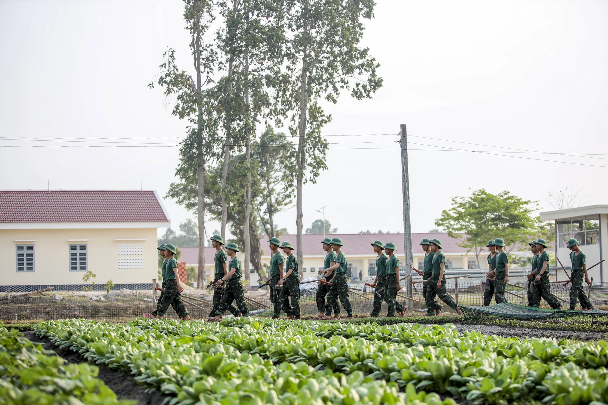 tăng gia sản xuất