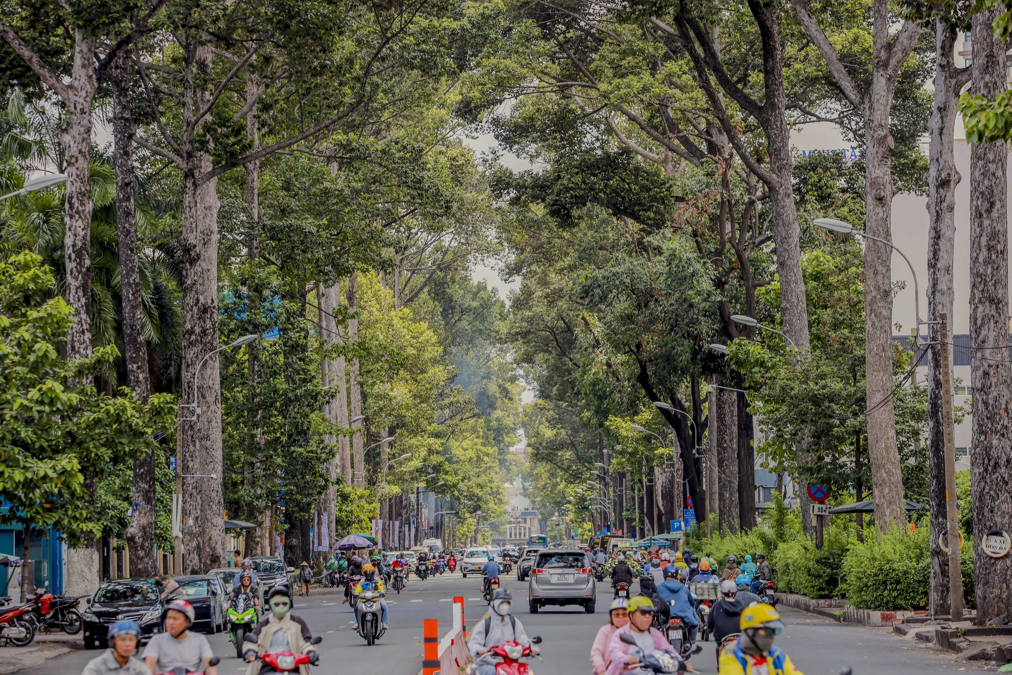 Phường Chợ Quán (14).jpg