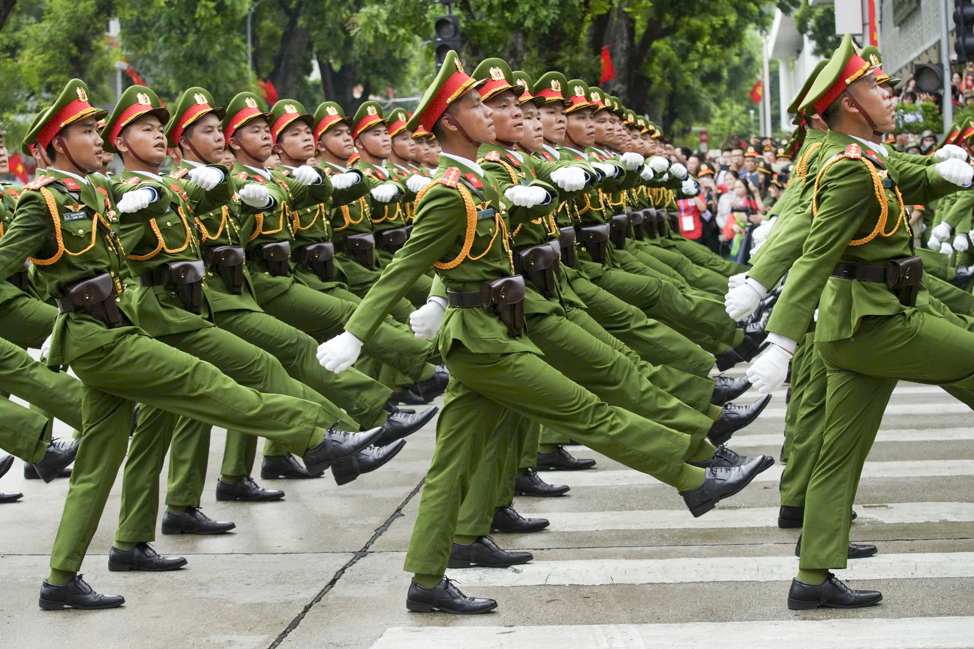 Dieu binh A80.jpg