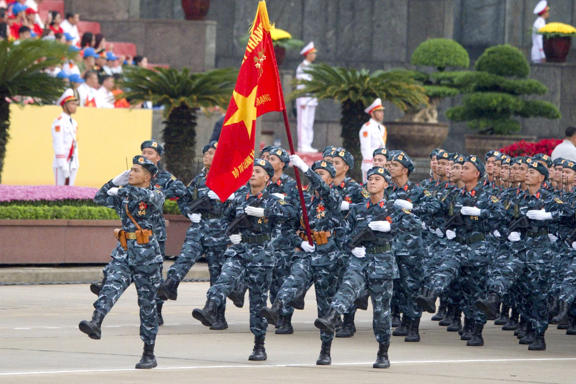 Dieu binh A80 - Dang Trung (1).jpg