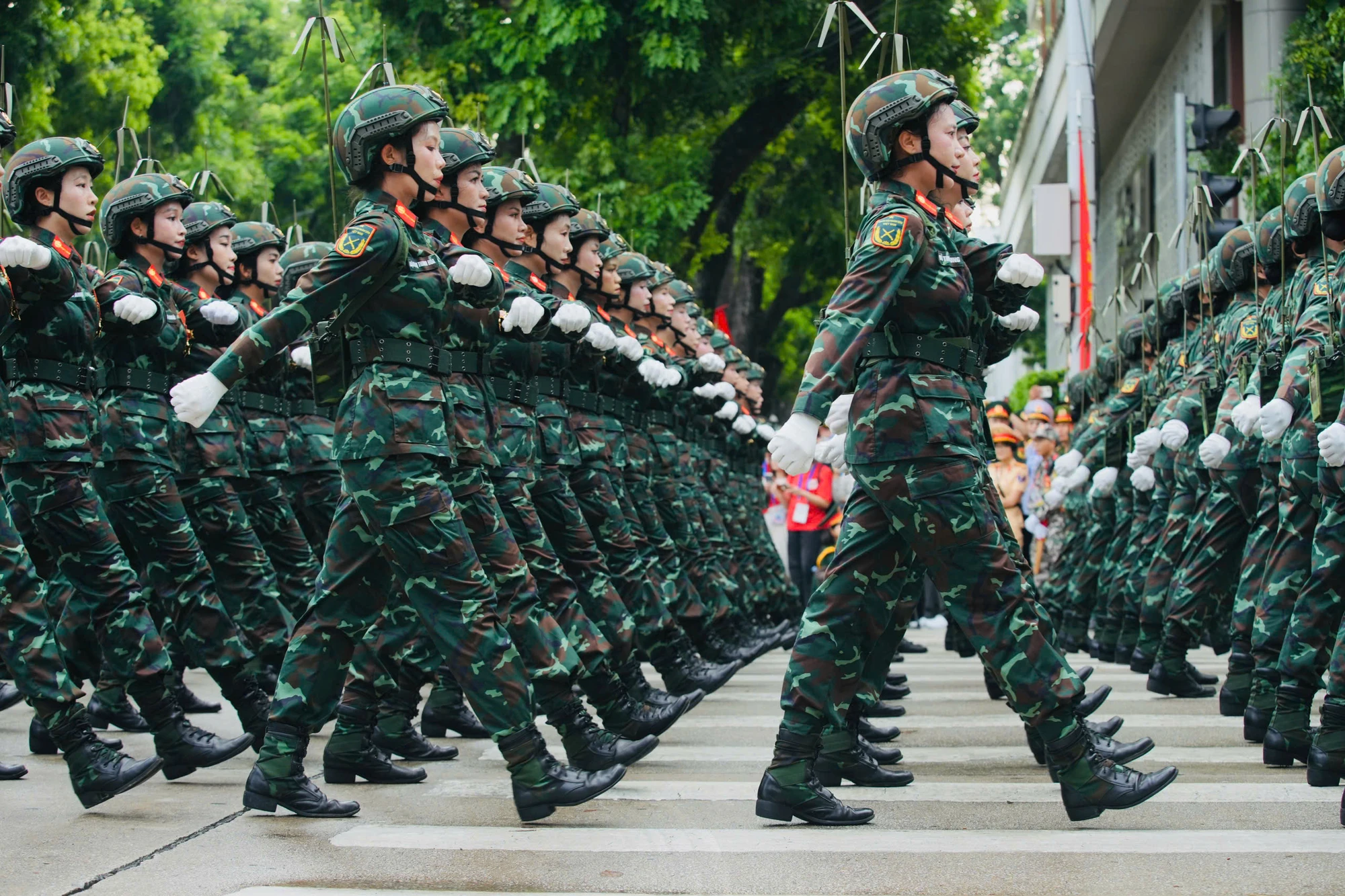 Dieu binh A80 - Phi Hung (1).jpg
