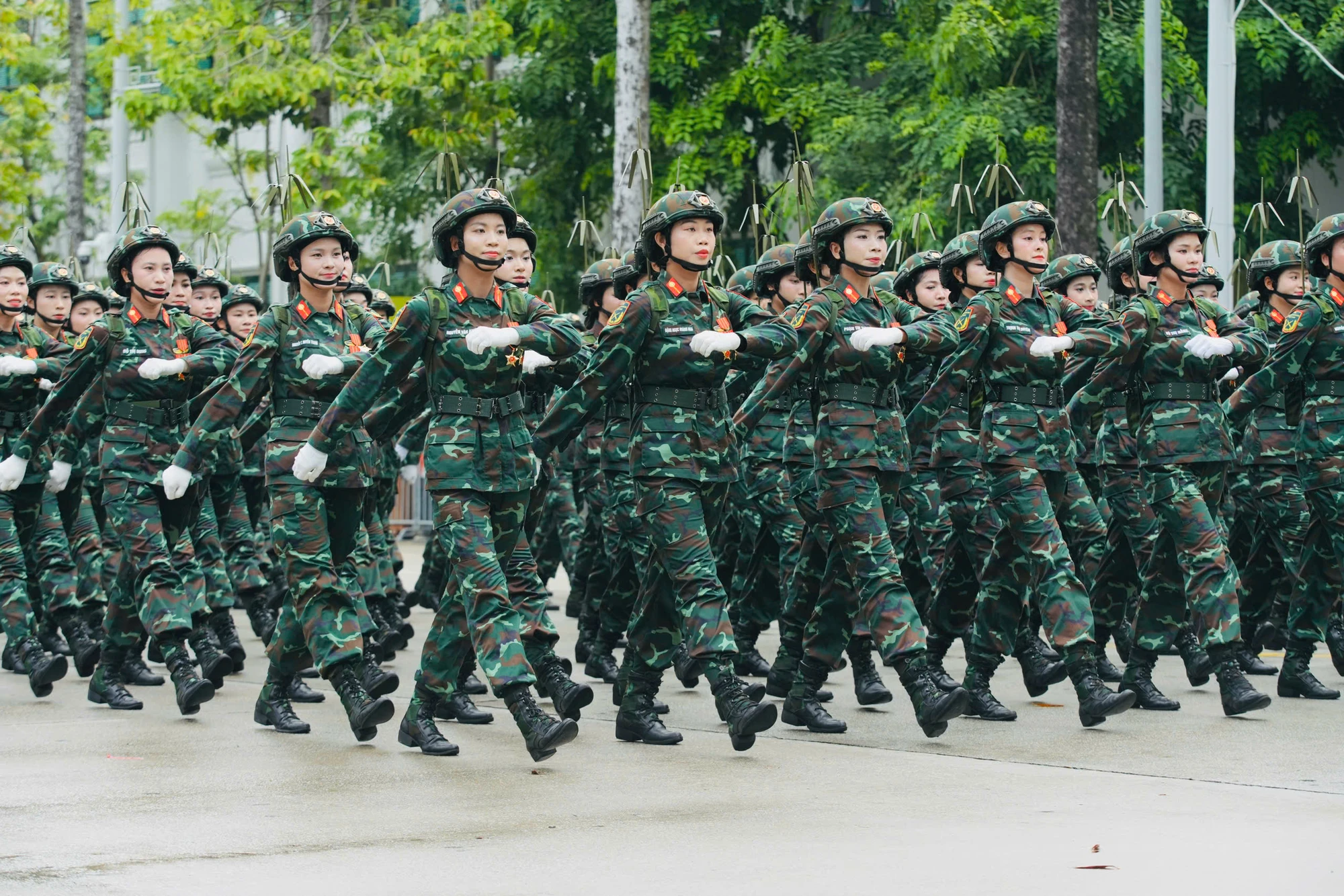Dieu binh A80 - Phi Hung (4).jpg