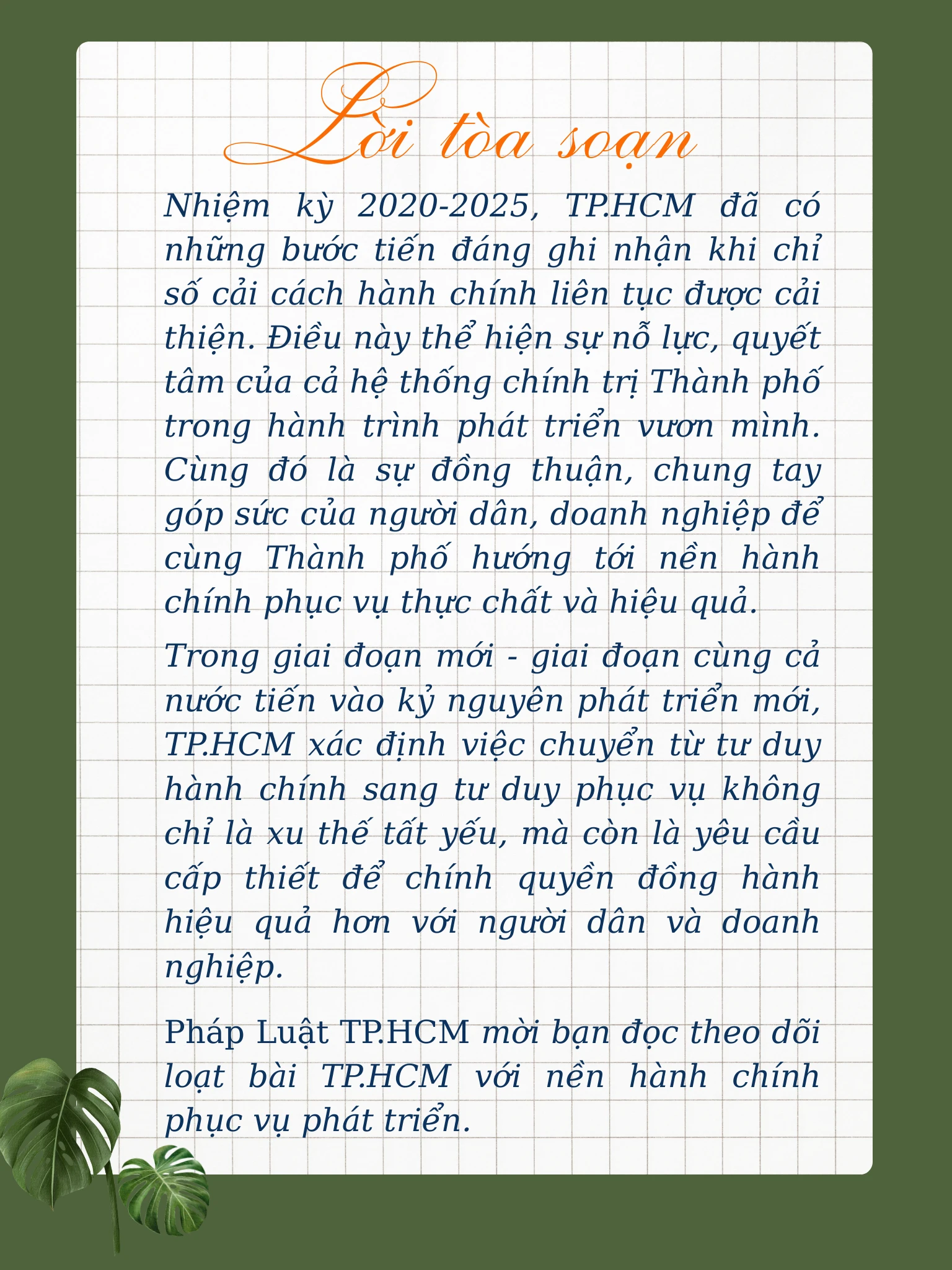 Chính quyền địa phương 2 cấp (16).png