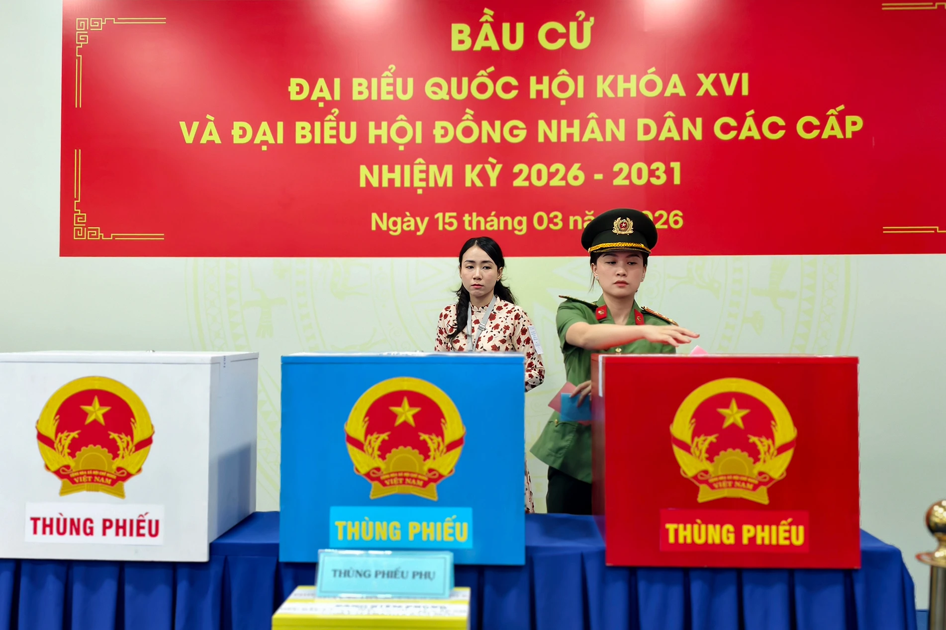 bau-cu-2.jpg