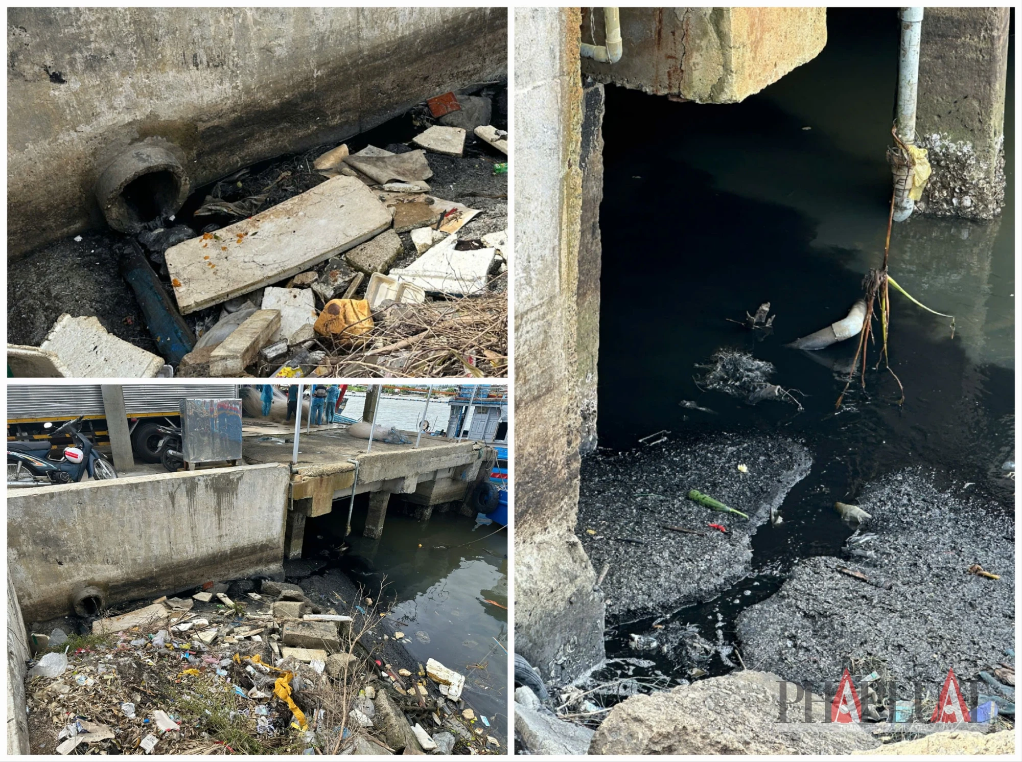 1000003917.jpg