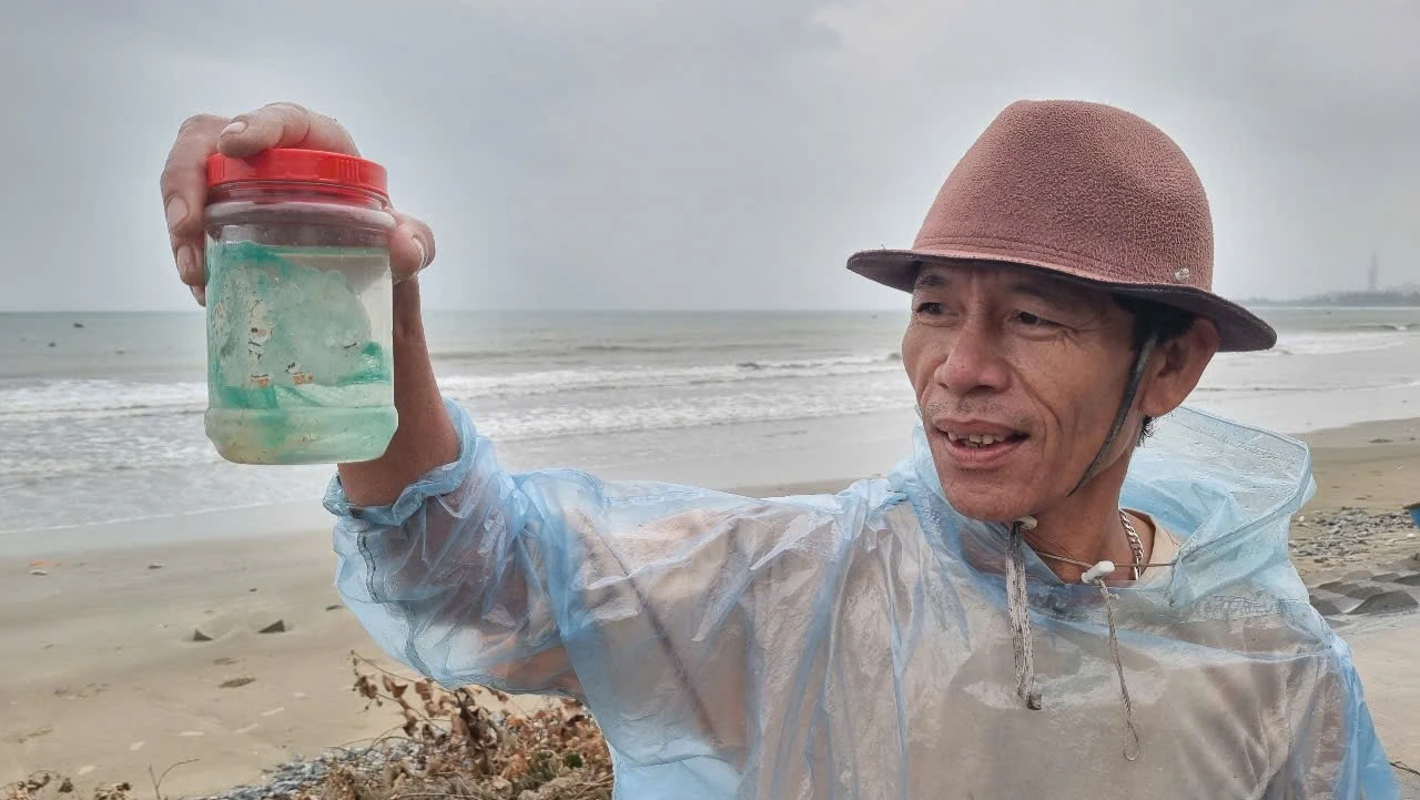 Ngư dân Quảng Ngãi kiếm đến 20 triệu mỗi ngày nhờ ‘săn’ tôm hùm giống