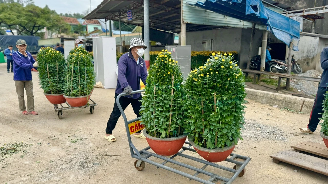 nhung-chuyen-tau-cuoi-nam-mang-tet-ra-dao-ly-son-19.jpg