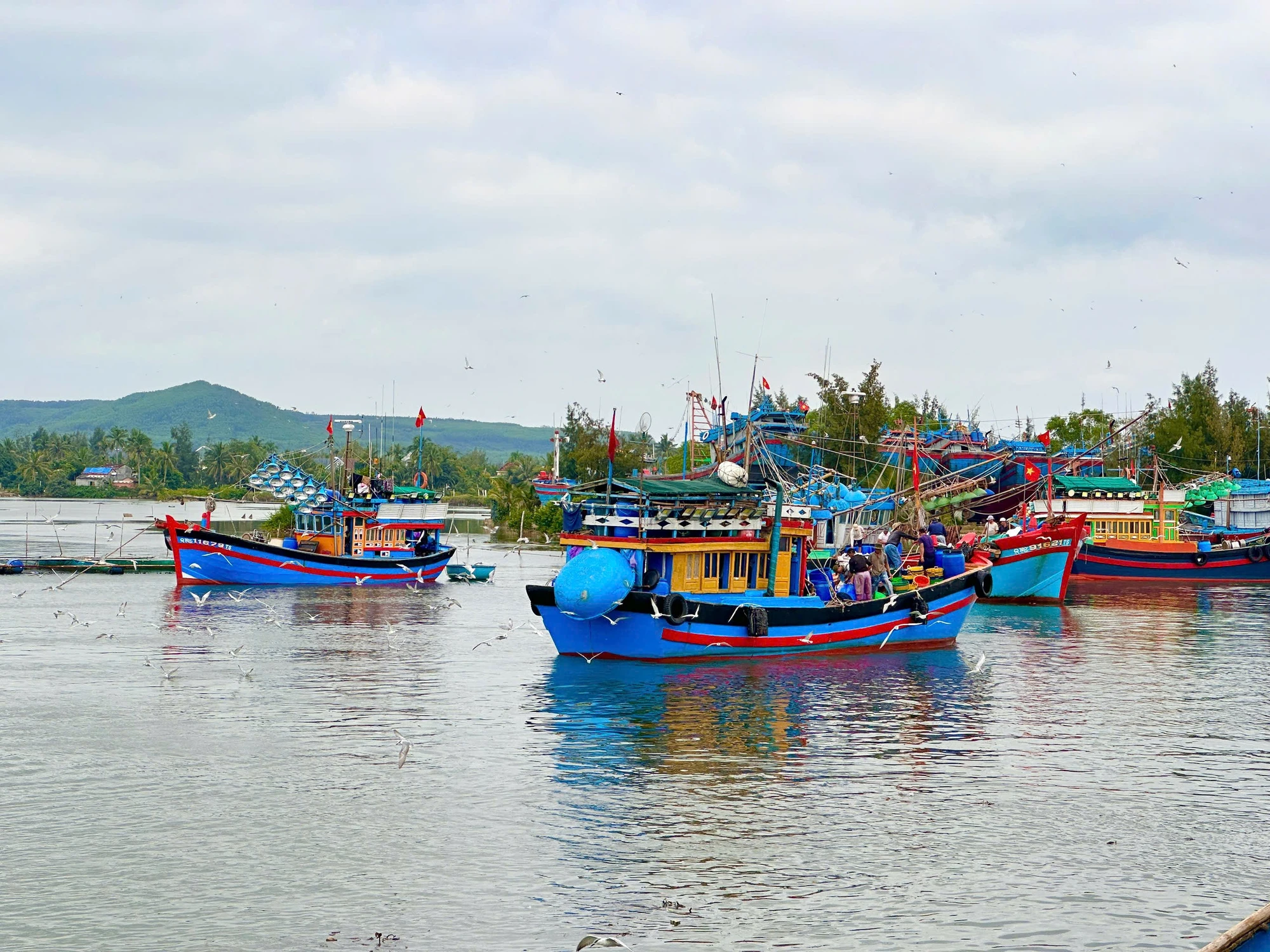 Ngư dân Quảng Ngãi bội thu chuyến biển ngày giáp Tết