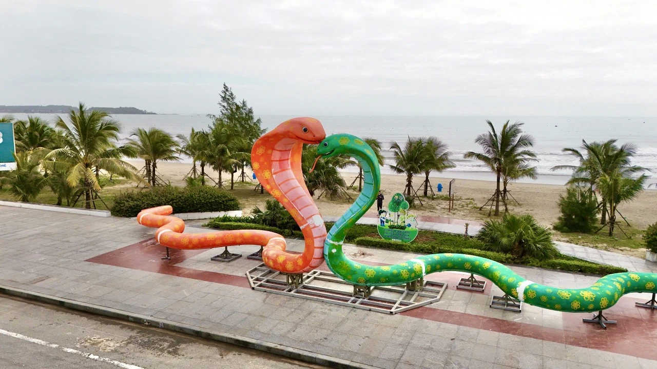 Quảng Ngãi đưa cặp linh vật rắn về biển Mỹ Khê phục vụ du khách