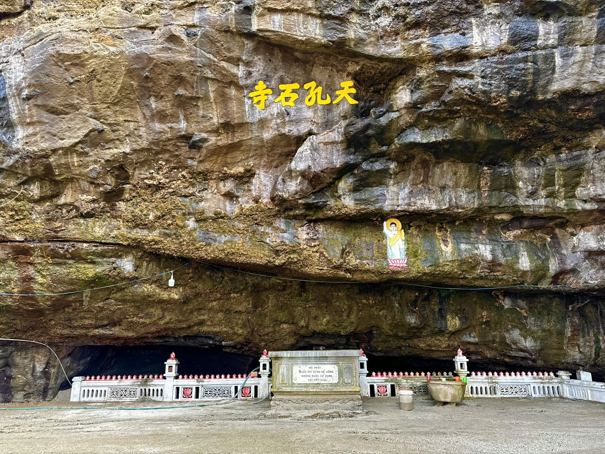 doc-dao-ngoi-chua-nam-sau-trong-hang-da-nui-lua-o-dao-ly-son (6).jpg