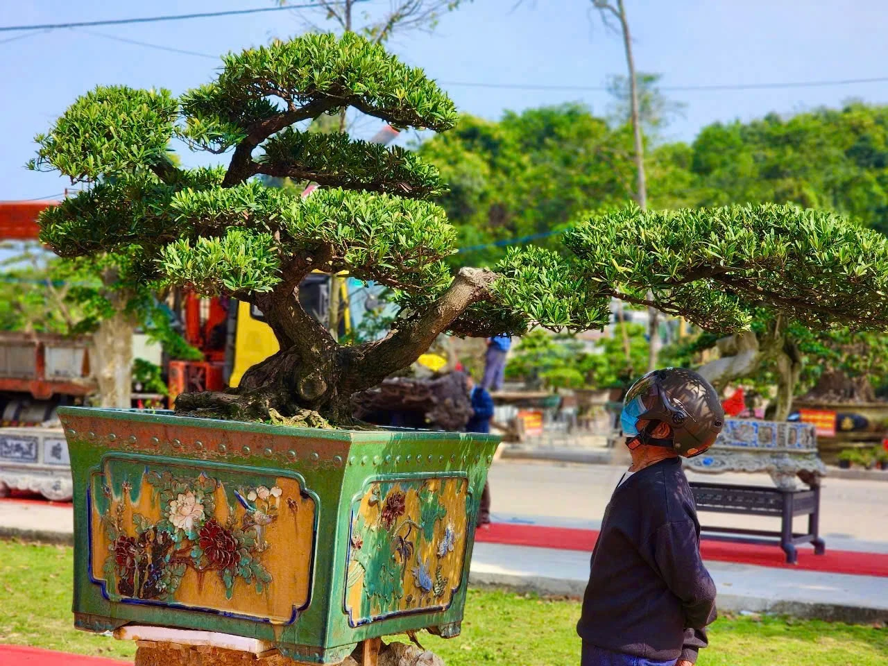 trien-lam-cay-canh-bonsai-doc-dao-voi-hon-1-000-tac-pham-o-quang-ngai-1.jpg