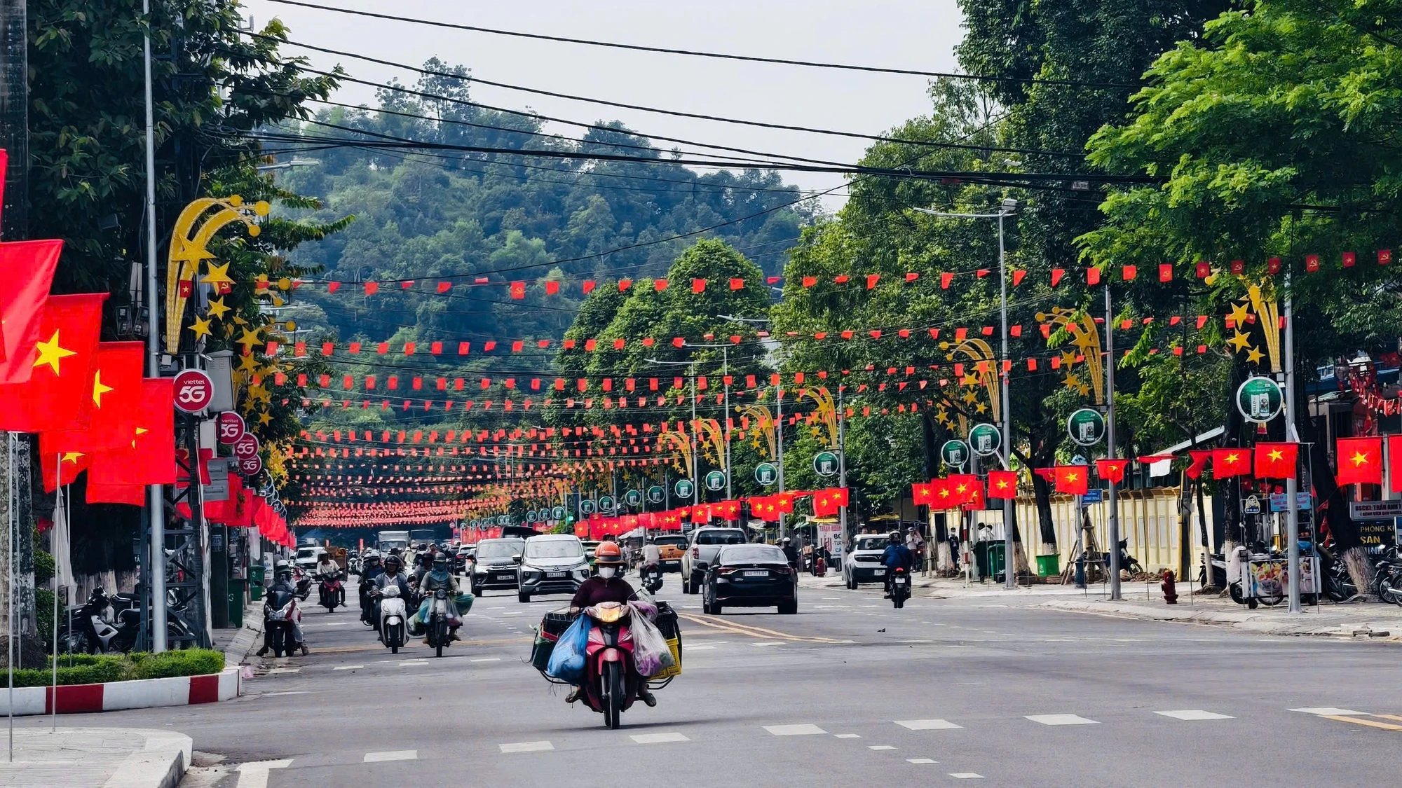 quang-ngai-ruc-ro-co-hoa-bang-ron-truoc-ngay-dai-hoi-dang-2.jpg