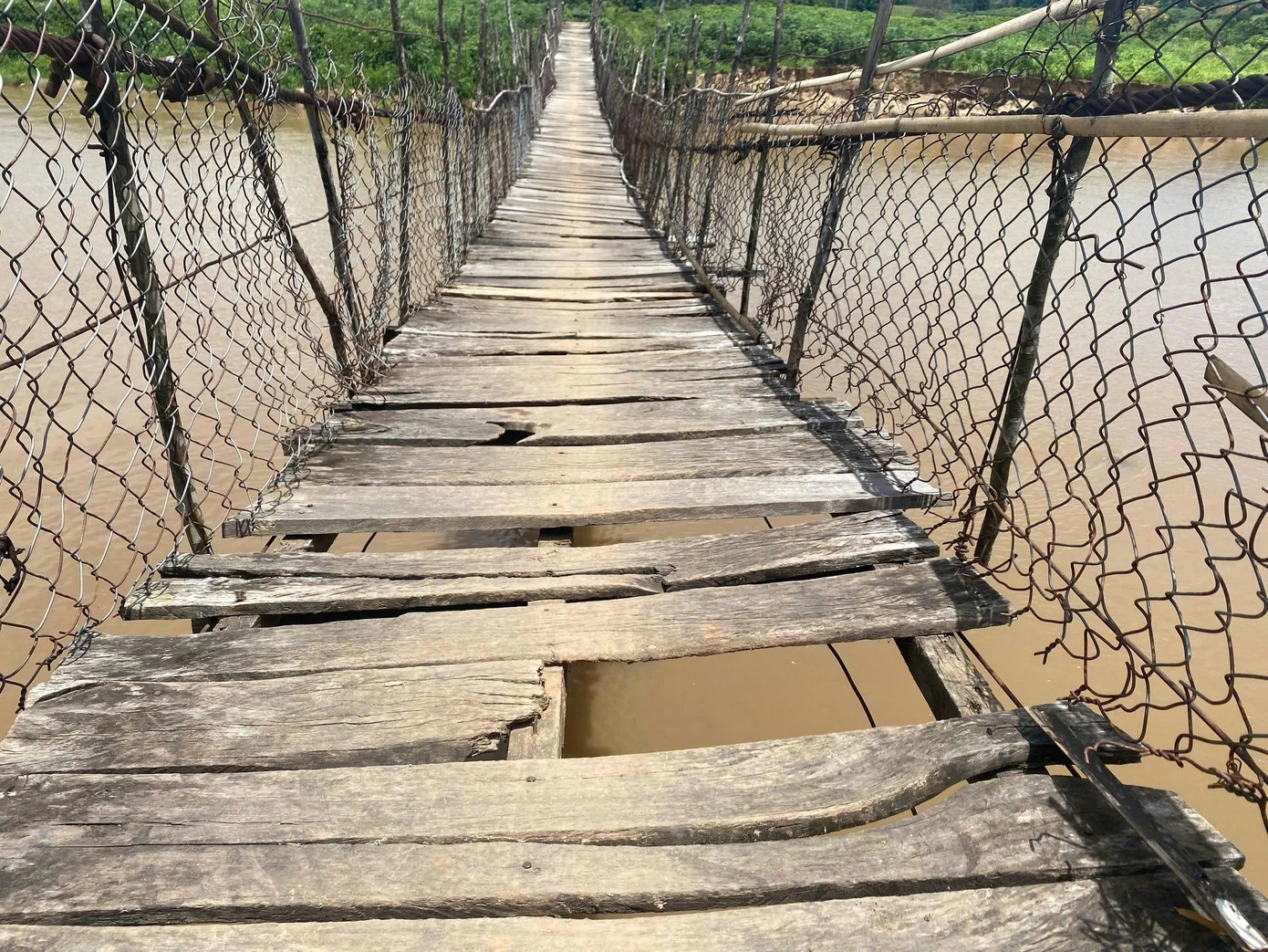 image-3.jpg