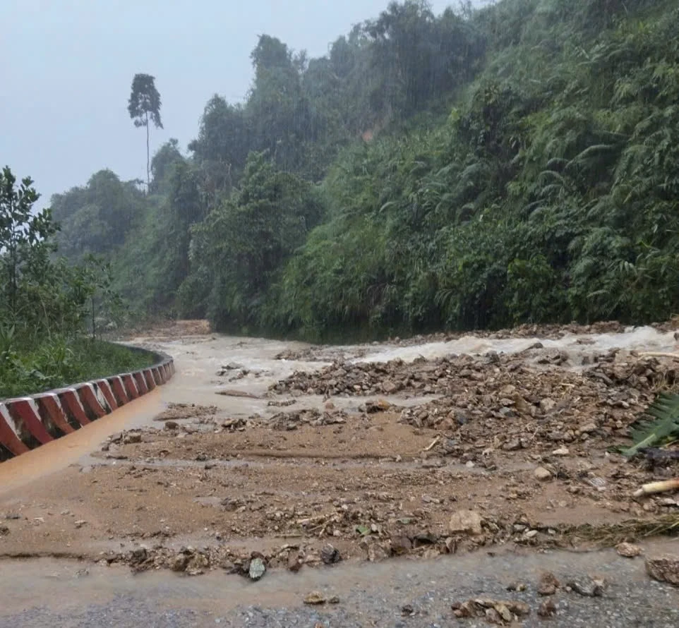 IMG_1761480556916_1761481195701.jpg