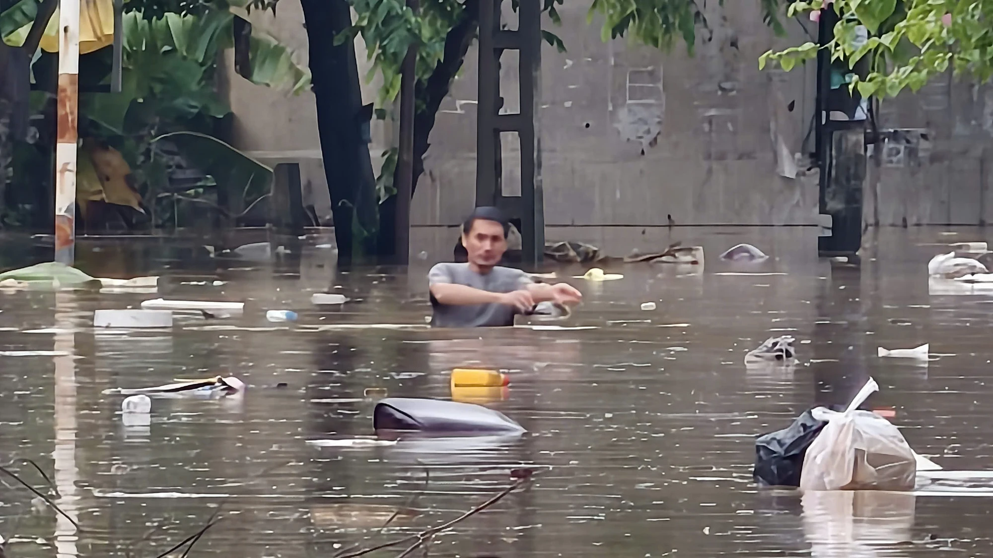 mua-lu-cuon-cuon-quang-ngai-chim-trong-bien-nuoc-8.jpg