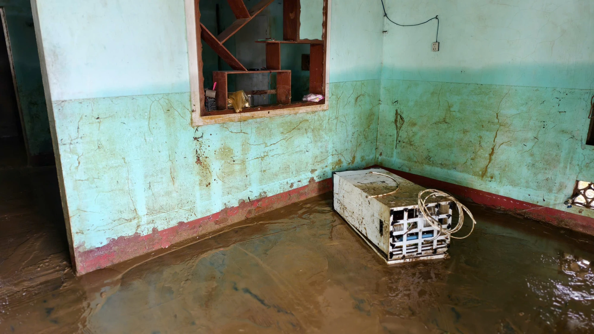 IMG_1761817323560_1761817368190.jpg