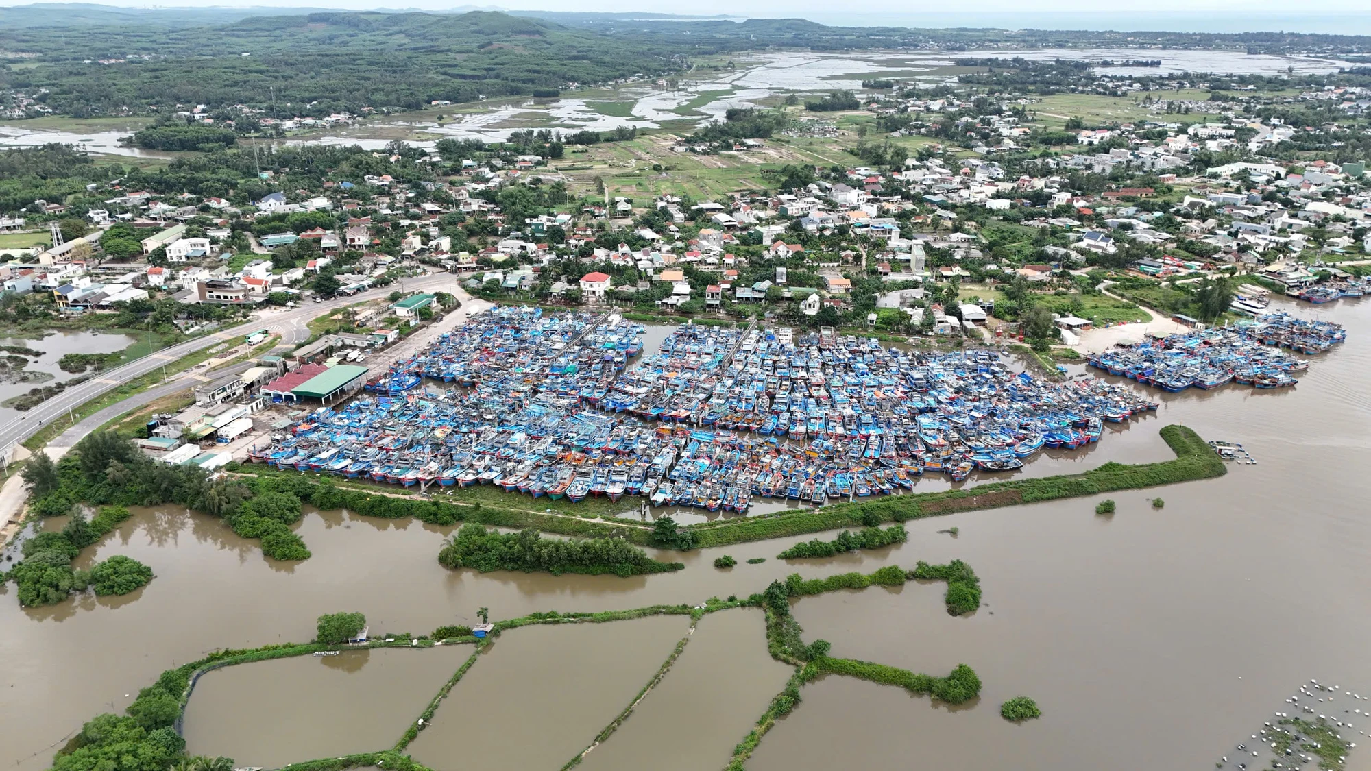 quang-ngai-chay-dua-chang-chong-nha-cua-neo-tau-truoc-gio-bao-so-13-ap-sat-dat-lien-1.jpg