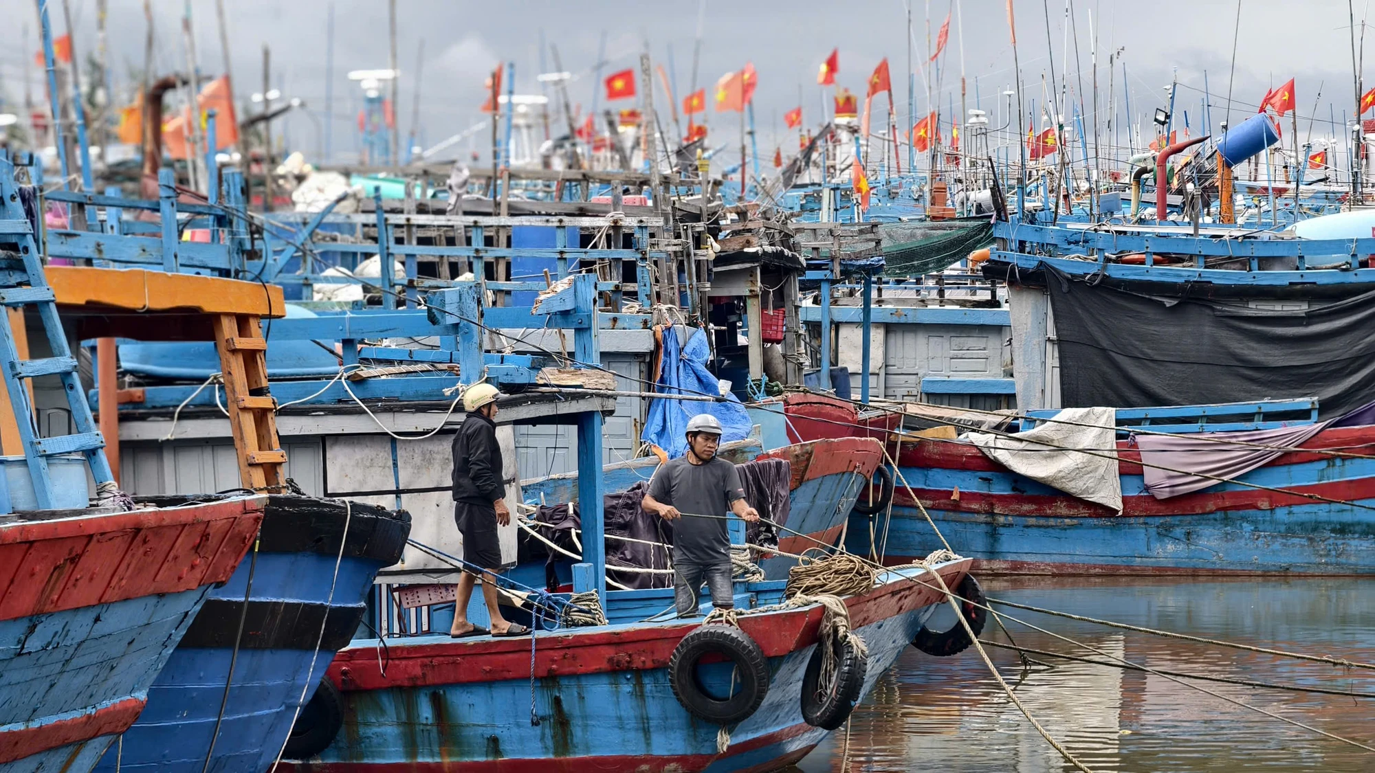quang-ngai-chay-dua-chang-chong-nha-cua-neo-tau-truoc-gio-bao-so-13-ap-sat-dat-lien-9.jpg