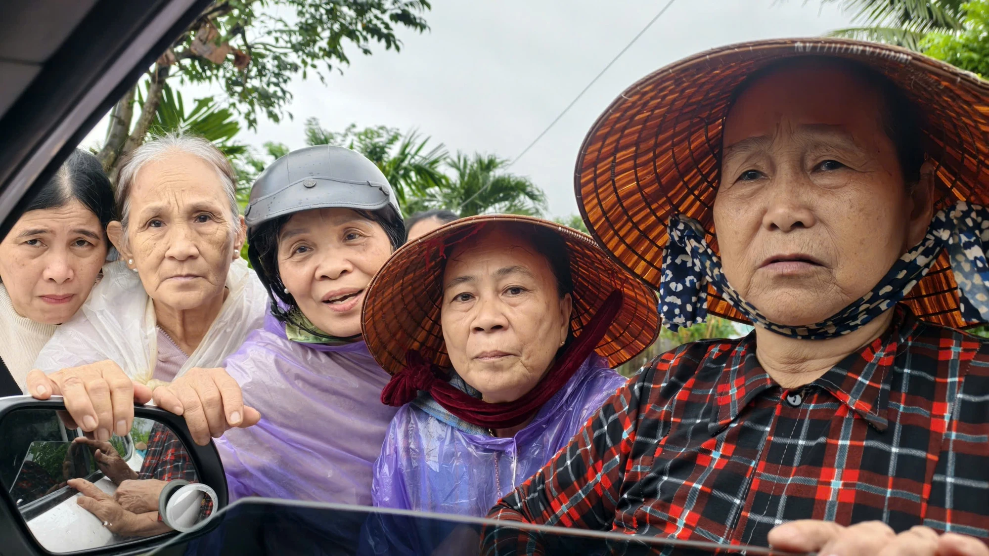 hoa-thinh-noi-hat-com-hat-gao-quy-hon-hat-vang-5.jpg