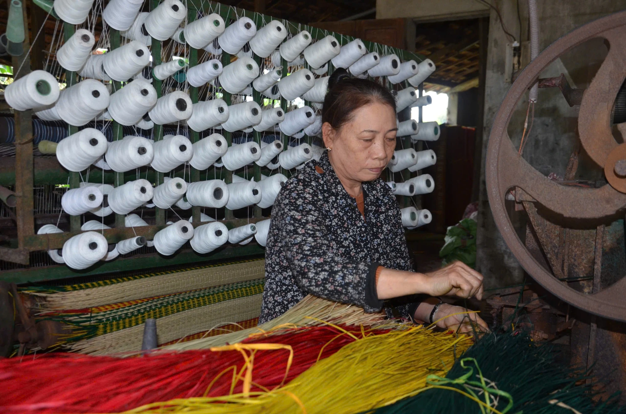 Chiếu cói Thu Xà và hành trình níu giữ di sản trăm năm
