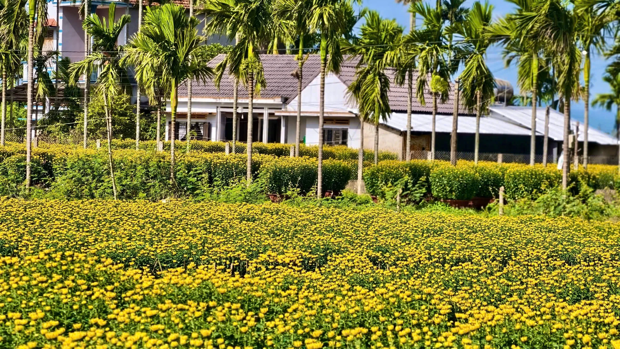z7507153068838_3951743b5001fafea07f3d27f0e9945b.jpg