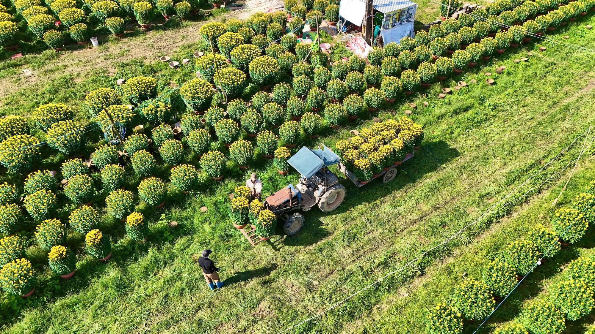 z7507153181566_329248b06ebc1f8cb2478b3f29b18800.jpg